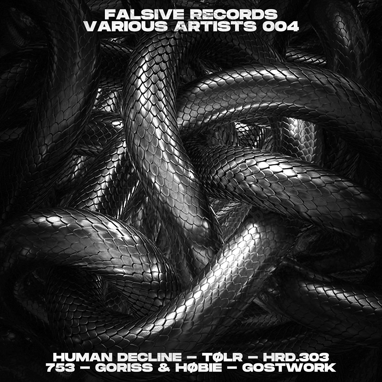 Постер альбома Falsive Records VA004