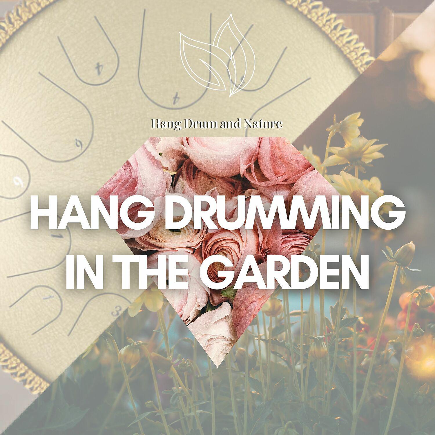 Постер альбома Hang Drumming in the Garden