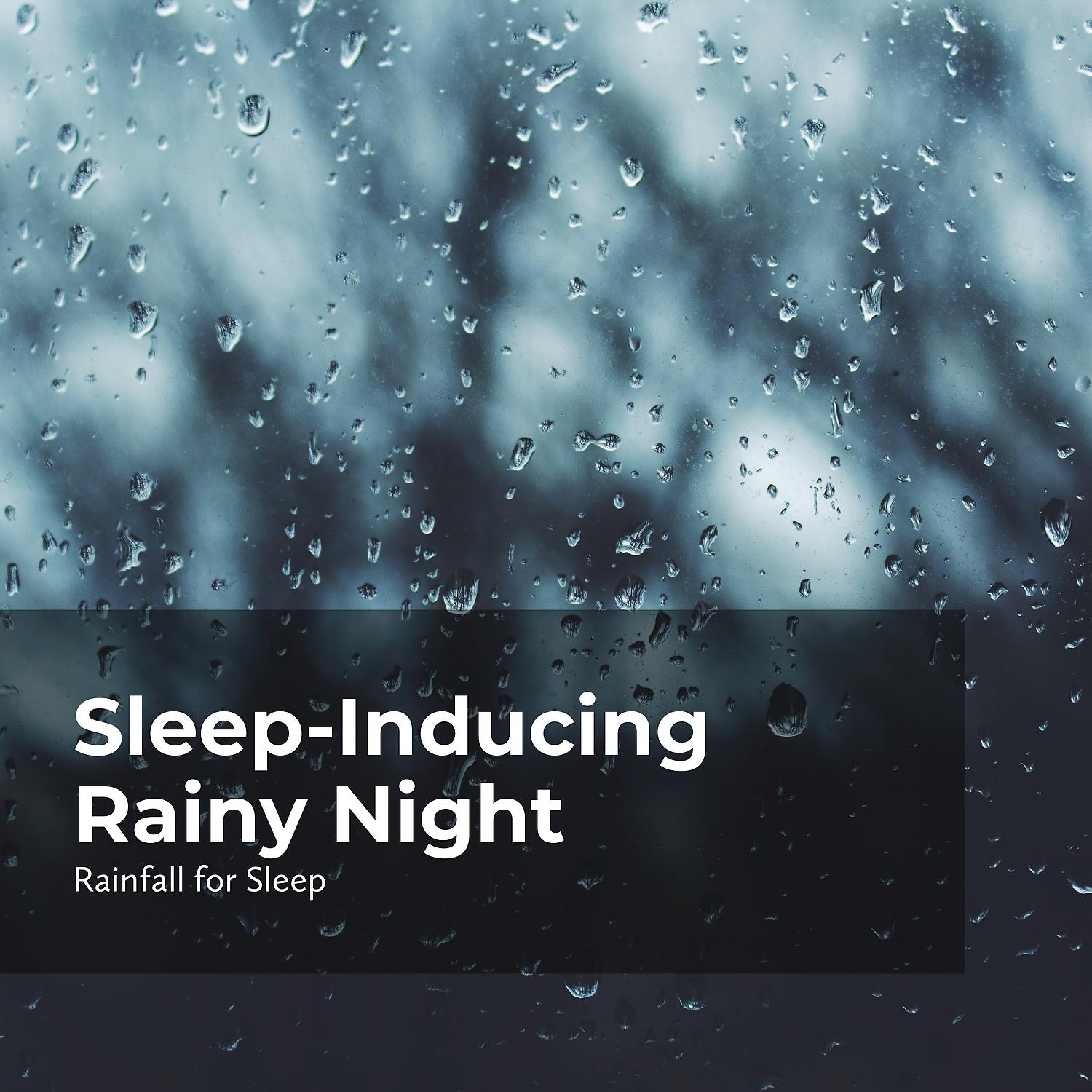 Постер альбома Sleep-Inducing Rainy Night