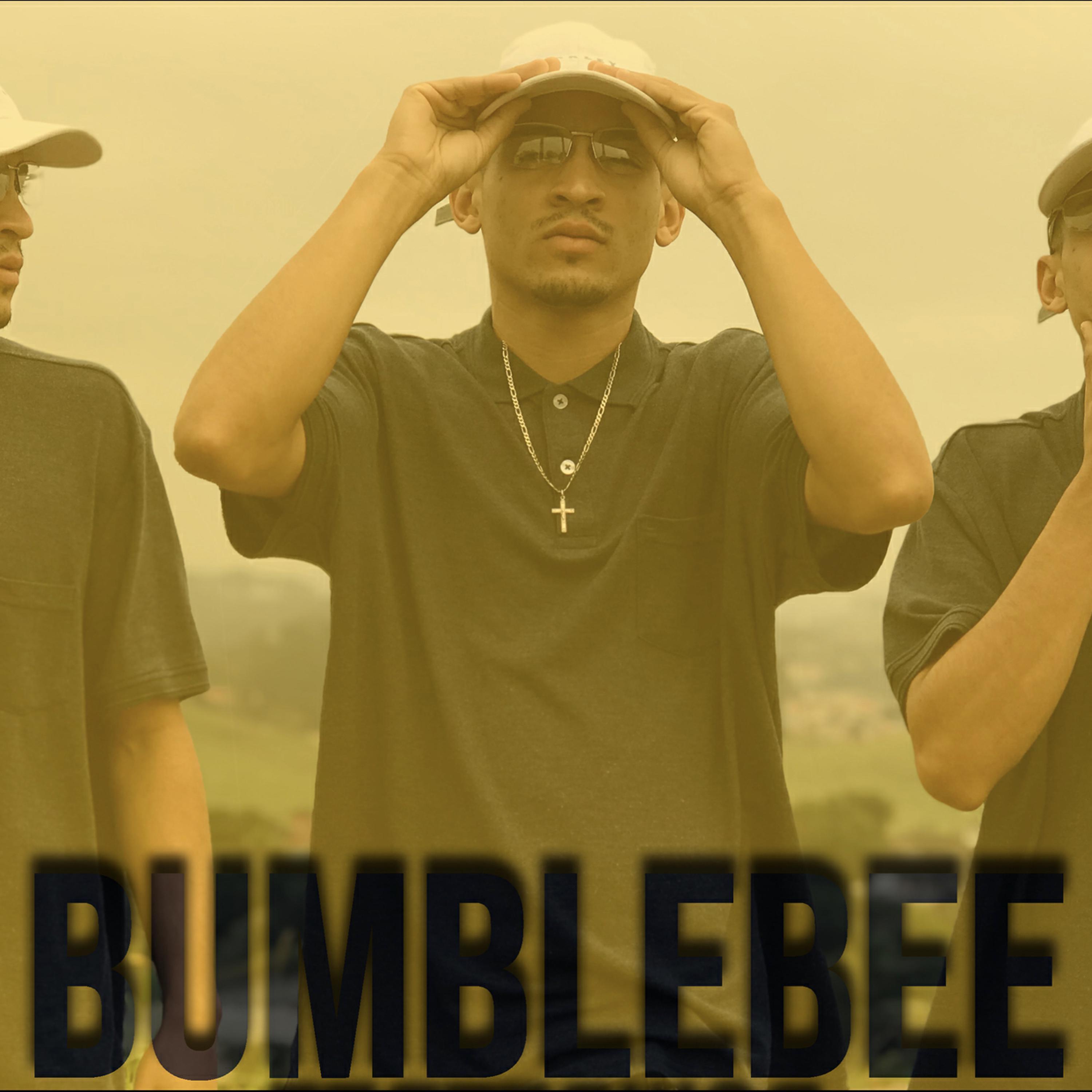 MC W5 - Bumblebee