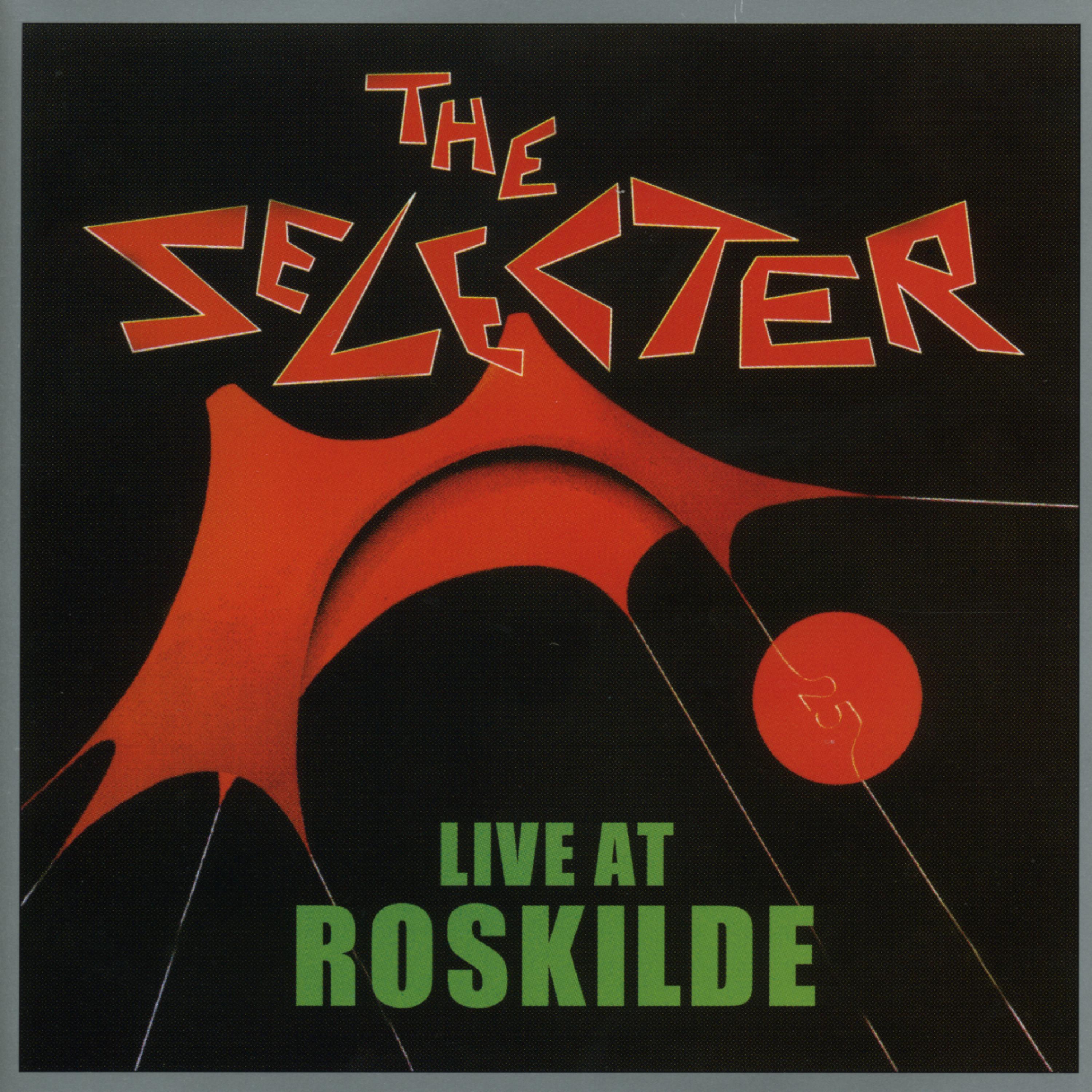 Постер альбома Live At Roskilde