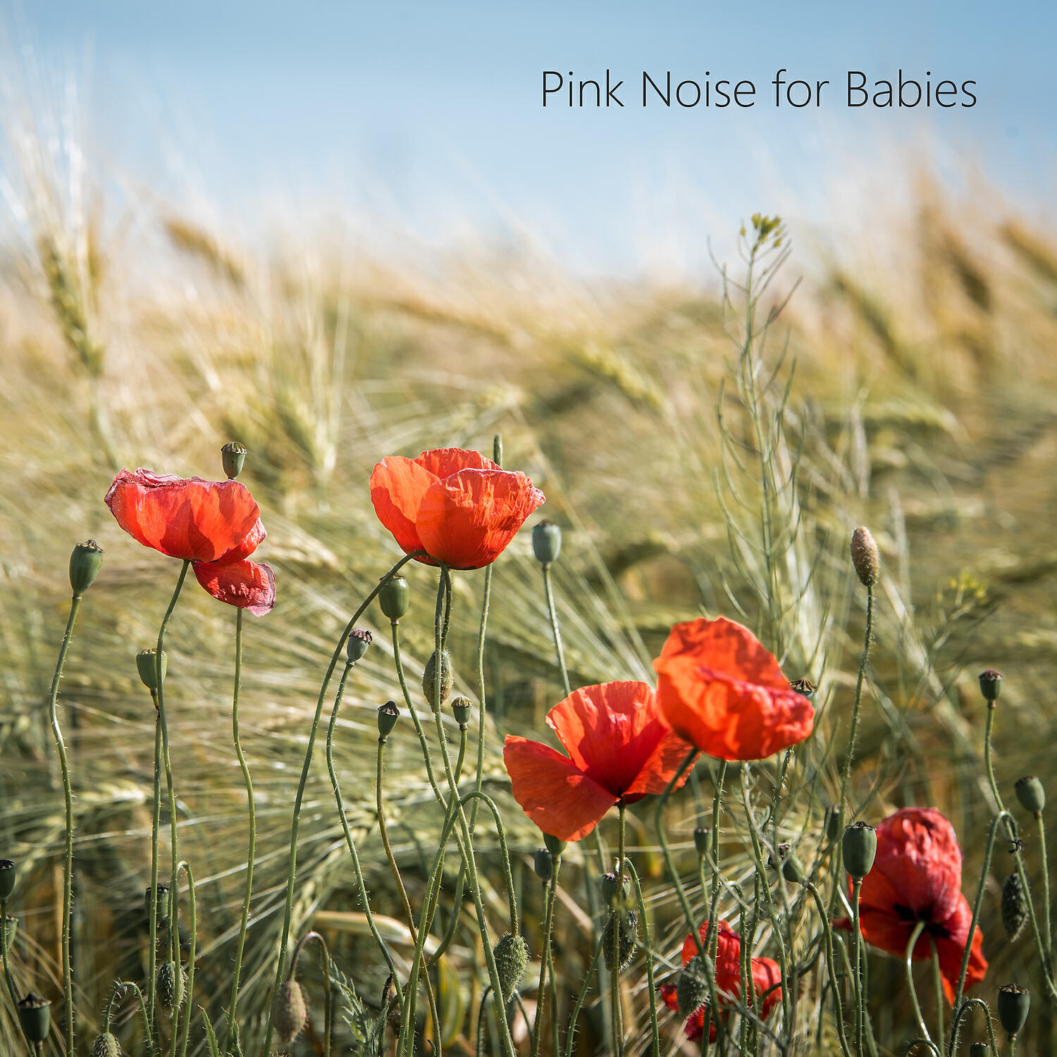 Calm Noise - Soft Brown Noise Relax