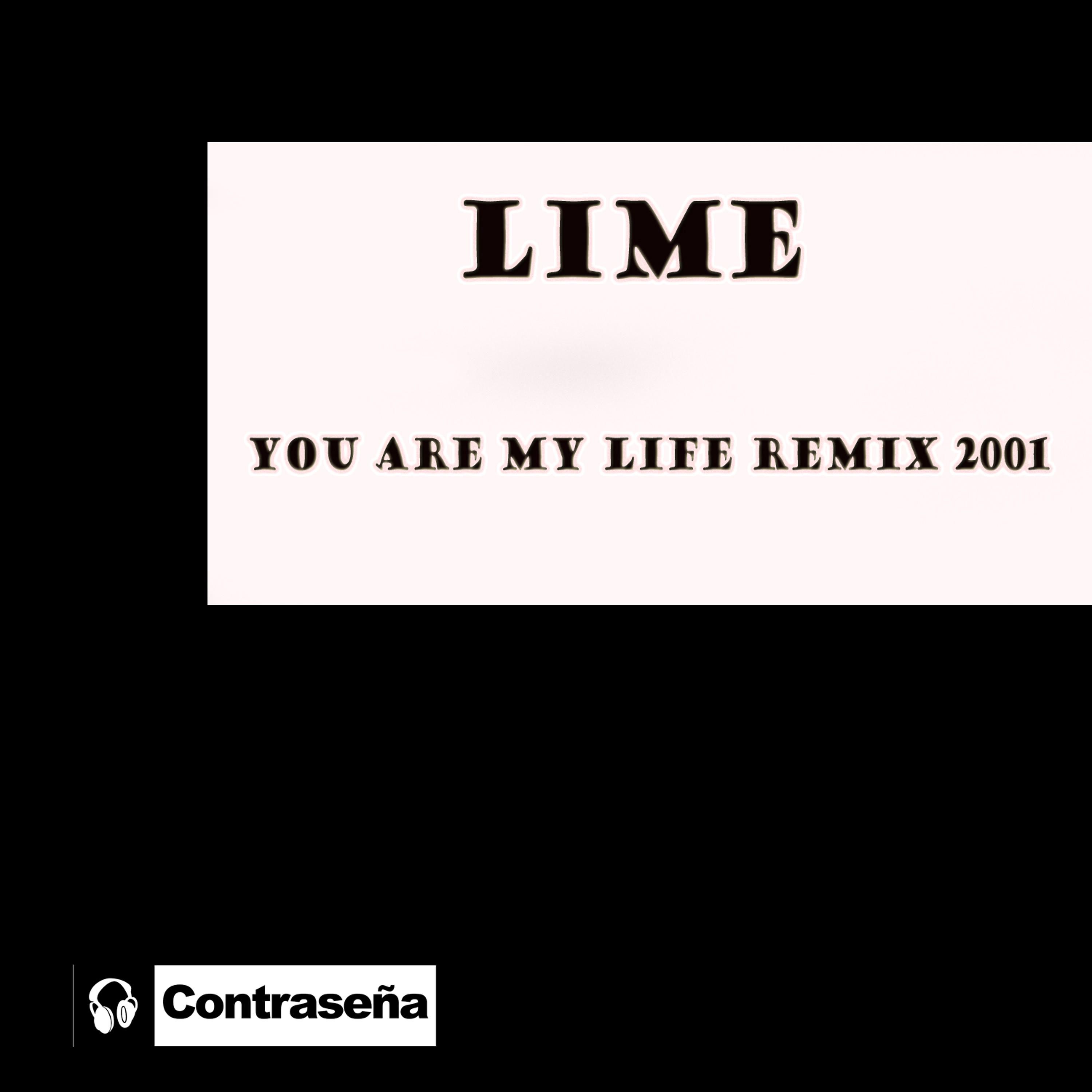 Постер альбома You Are My Life Remix 2001
