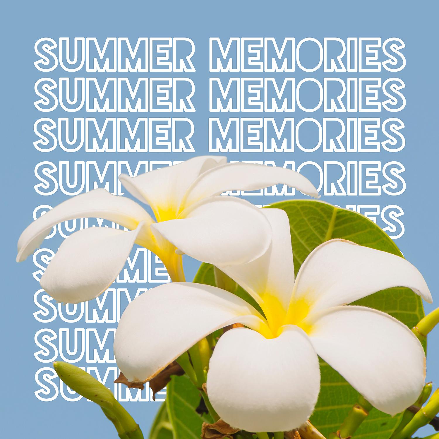 Постер альбома Summer Memories: Hawaiian Chill Out Music for Good & Positive Energy