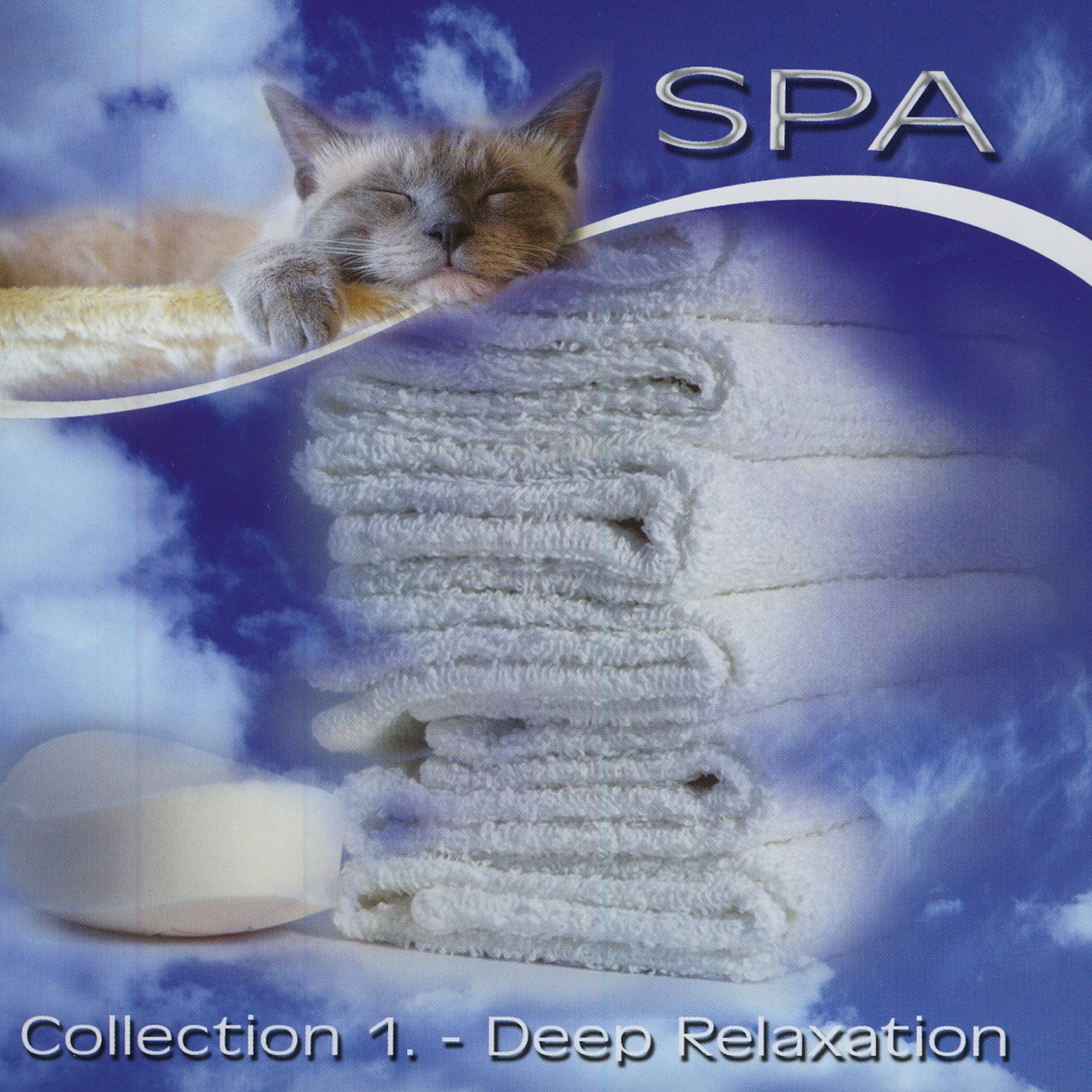 Постер альбома Spa - Collection 1