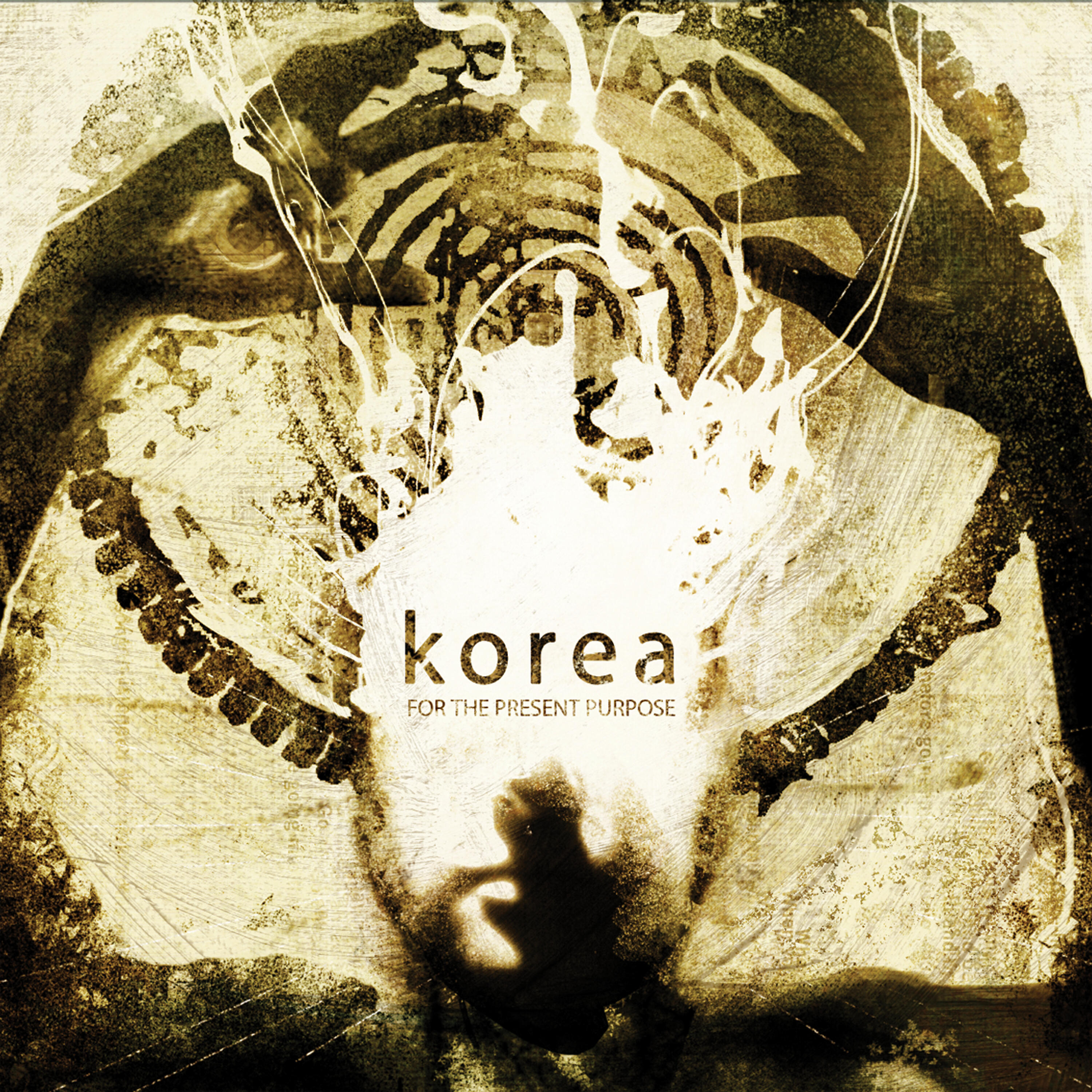 KOREA - Rebound