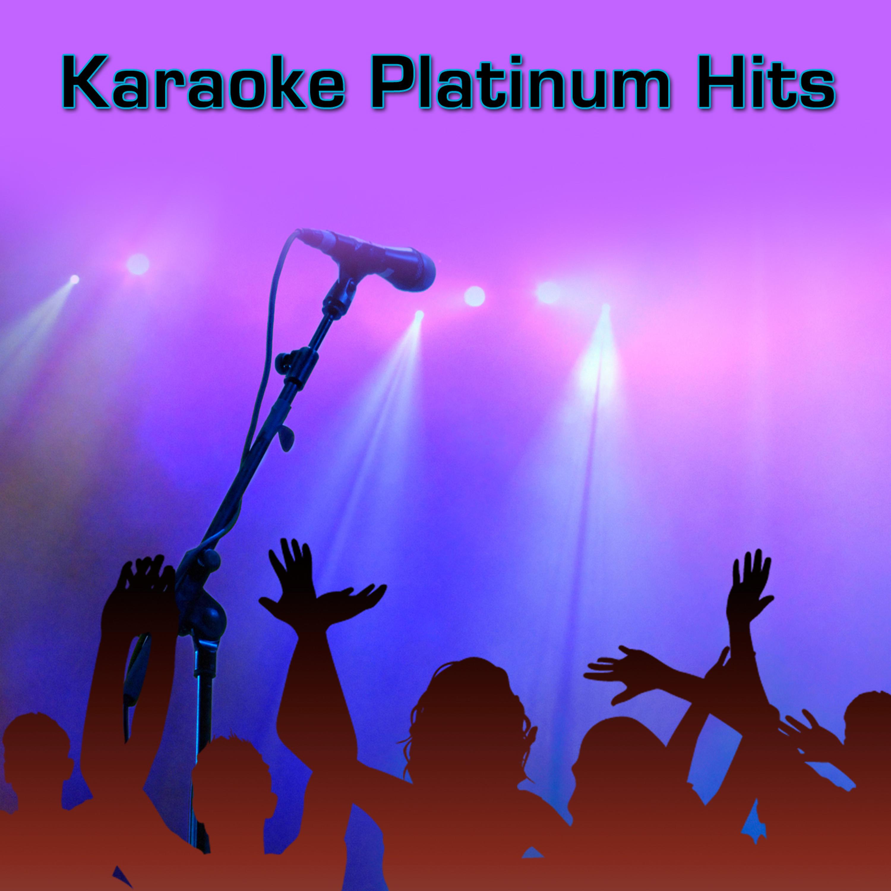 Постер альбома Karaoke Platinum Hits