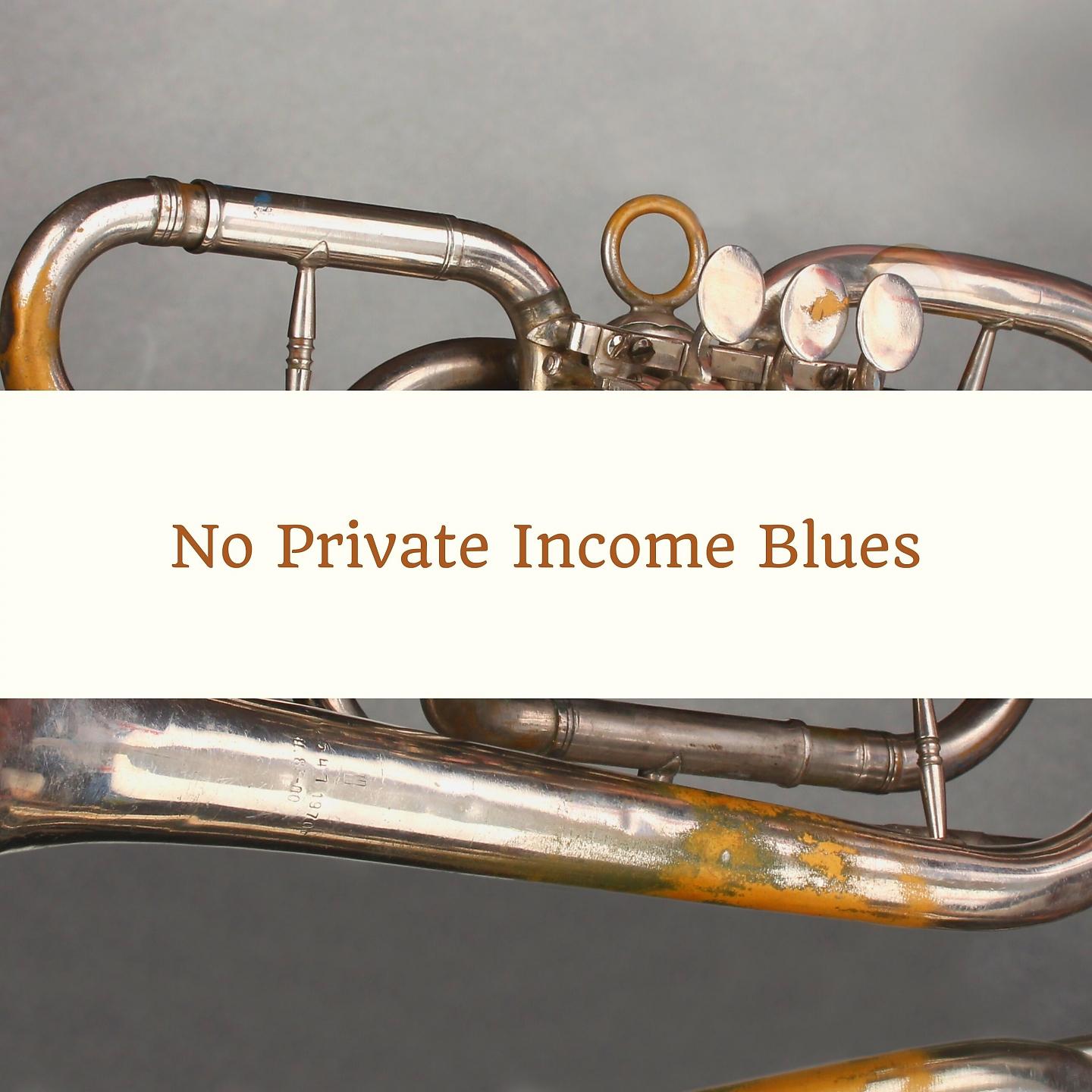 Постер альбома No Private Income Blues