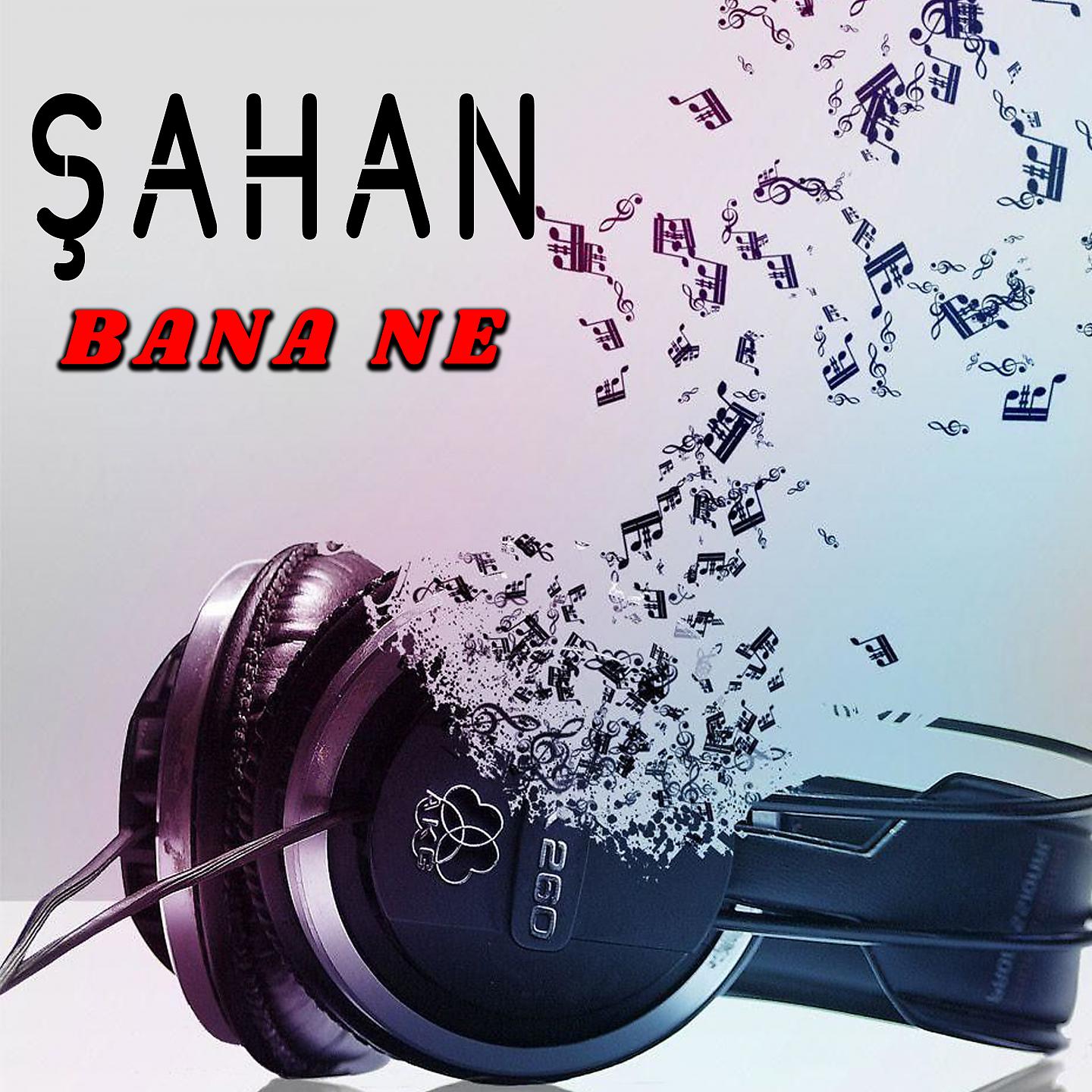 Постер альбома Bana Ne
