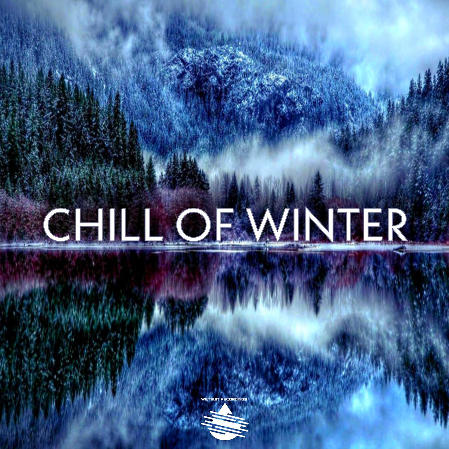 Постер альбома Chill Of Winter