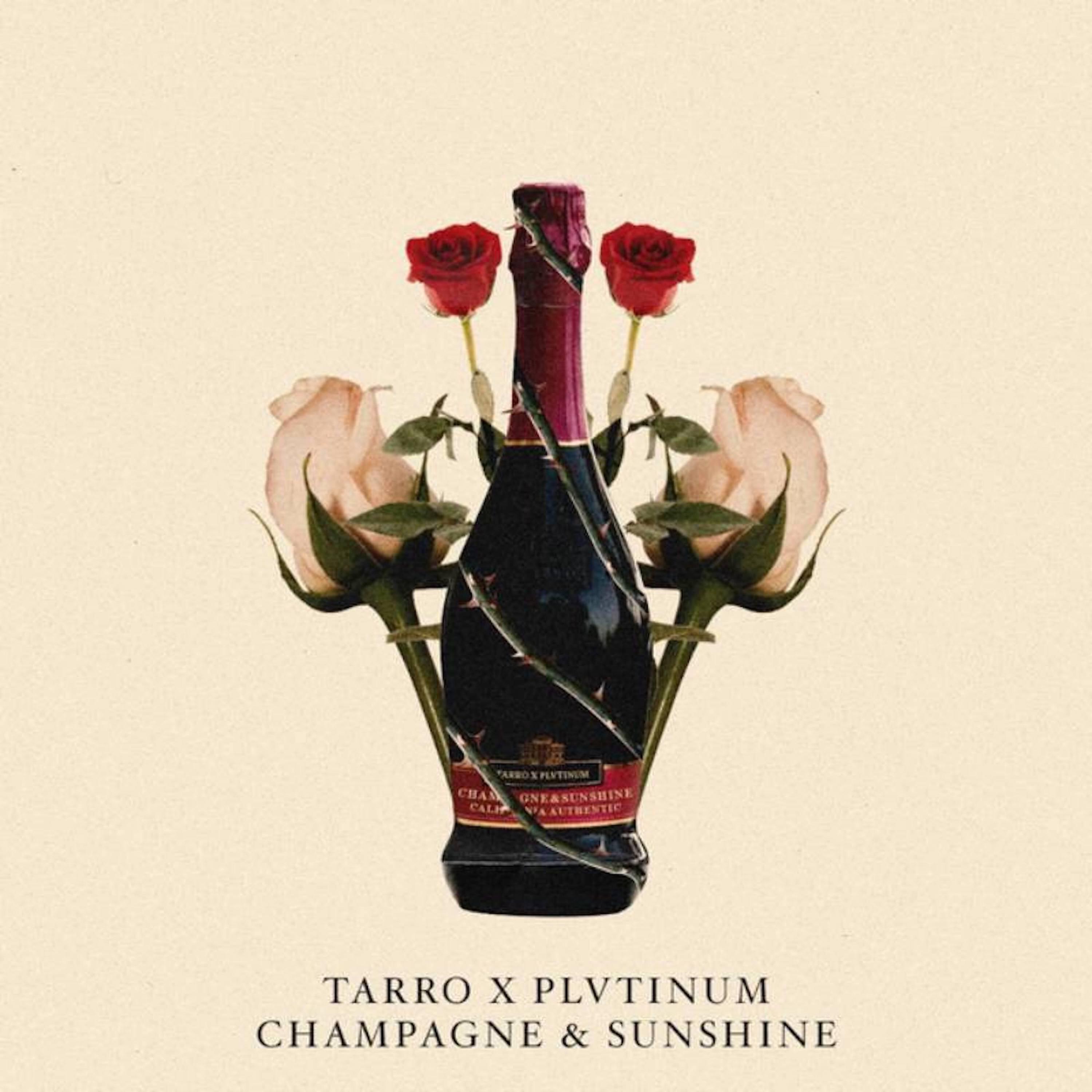 PLVTINUM - Champagne & Sunshine