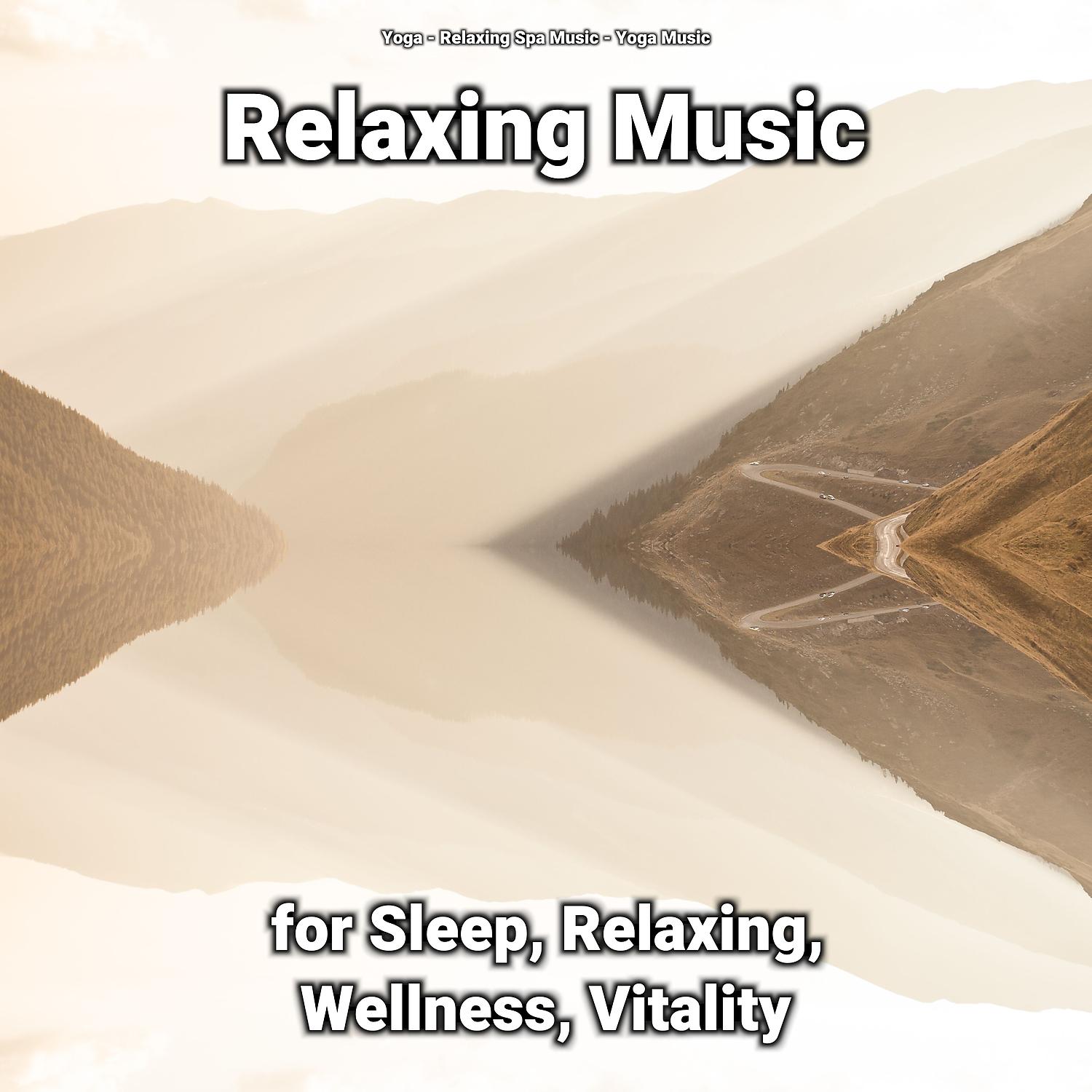 Постер альбома Relaxing Music for Sleep, Relaxing, Wellness, Vitality