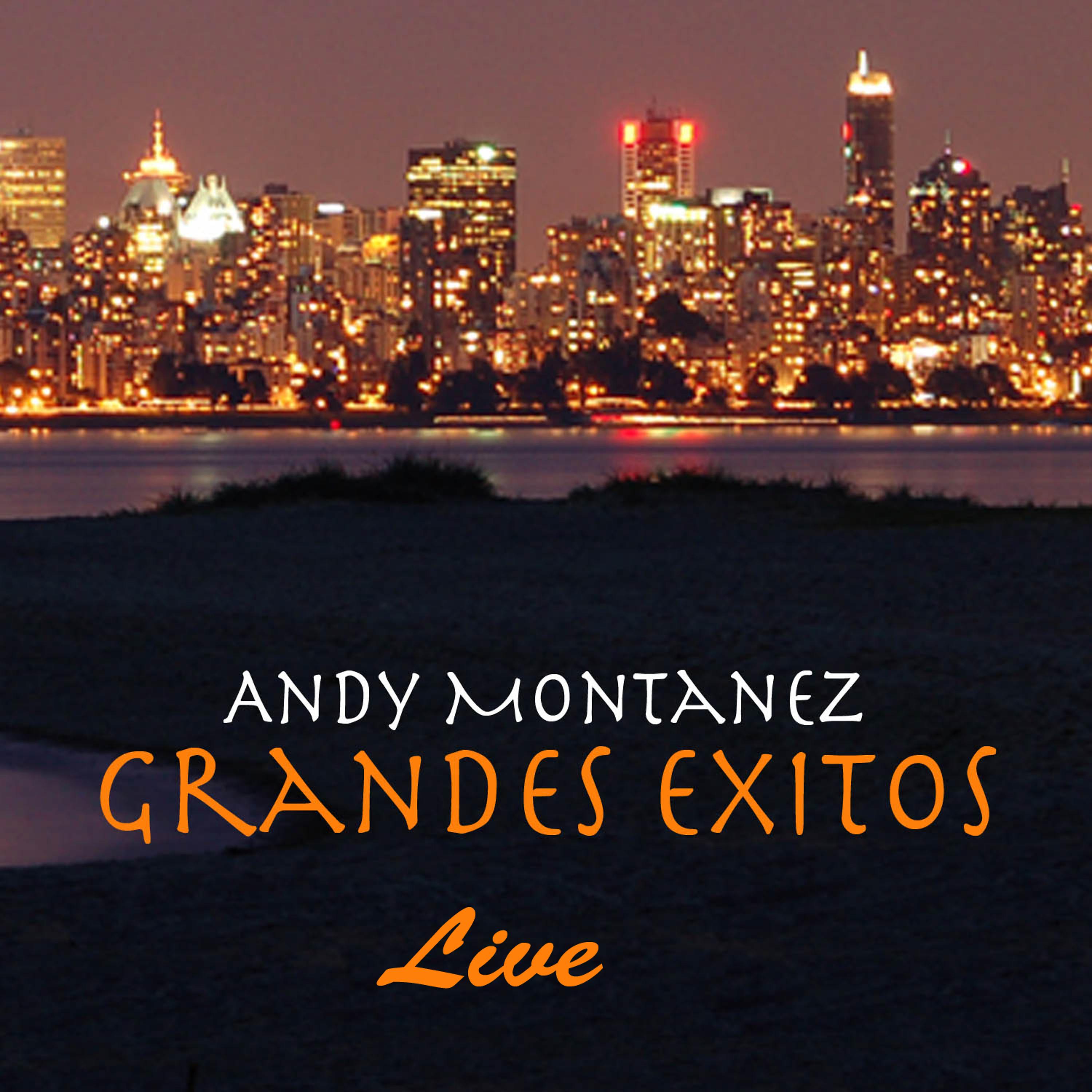 Постер альбома Grandes Exitos - Live