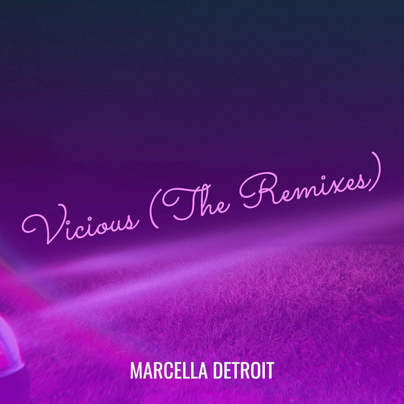 Постер альбома Vicious Bitch (The Remixes)