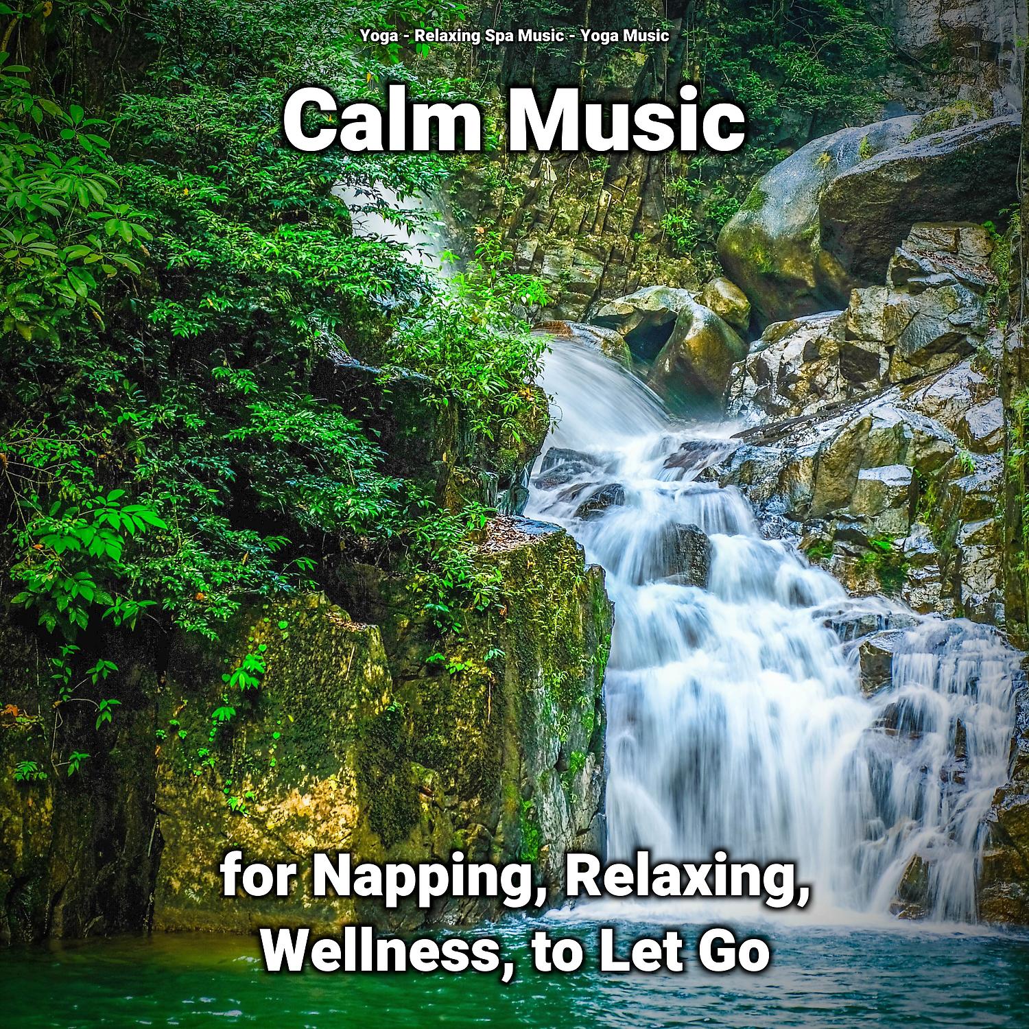 Постер альбома Calm Music for Napping, Relaxing, Wellness, to Let Go
