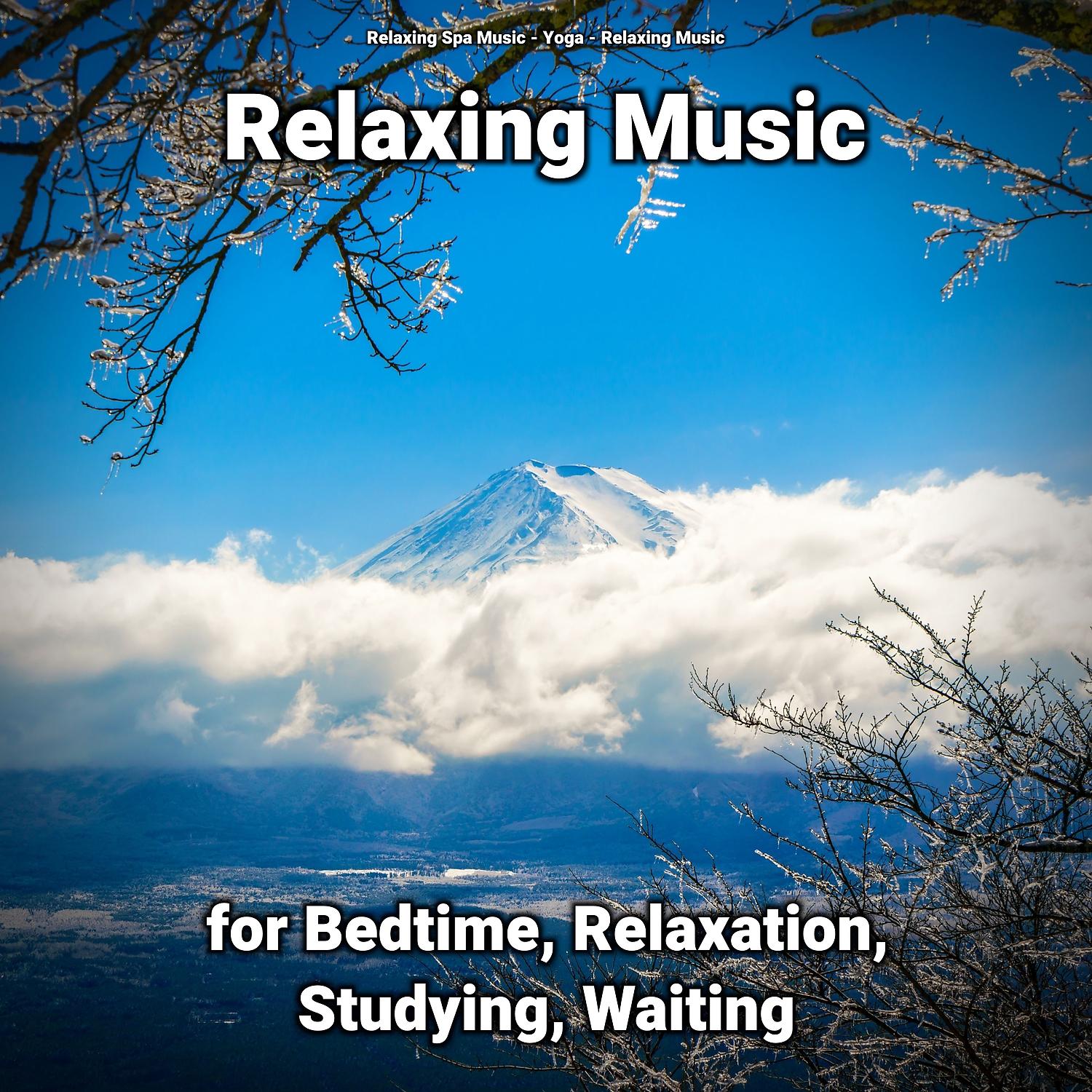 Постер альбома Relaxing Music for Bedtime, Relaxation, Studying, Waiting