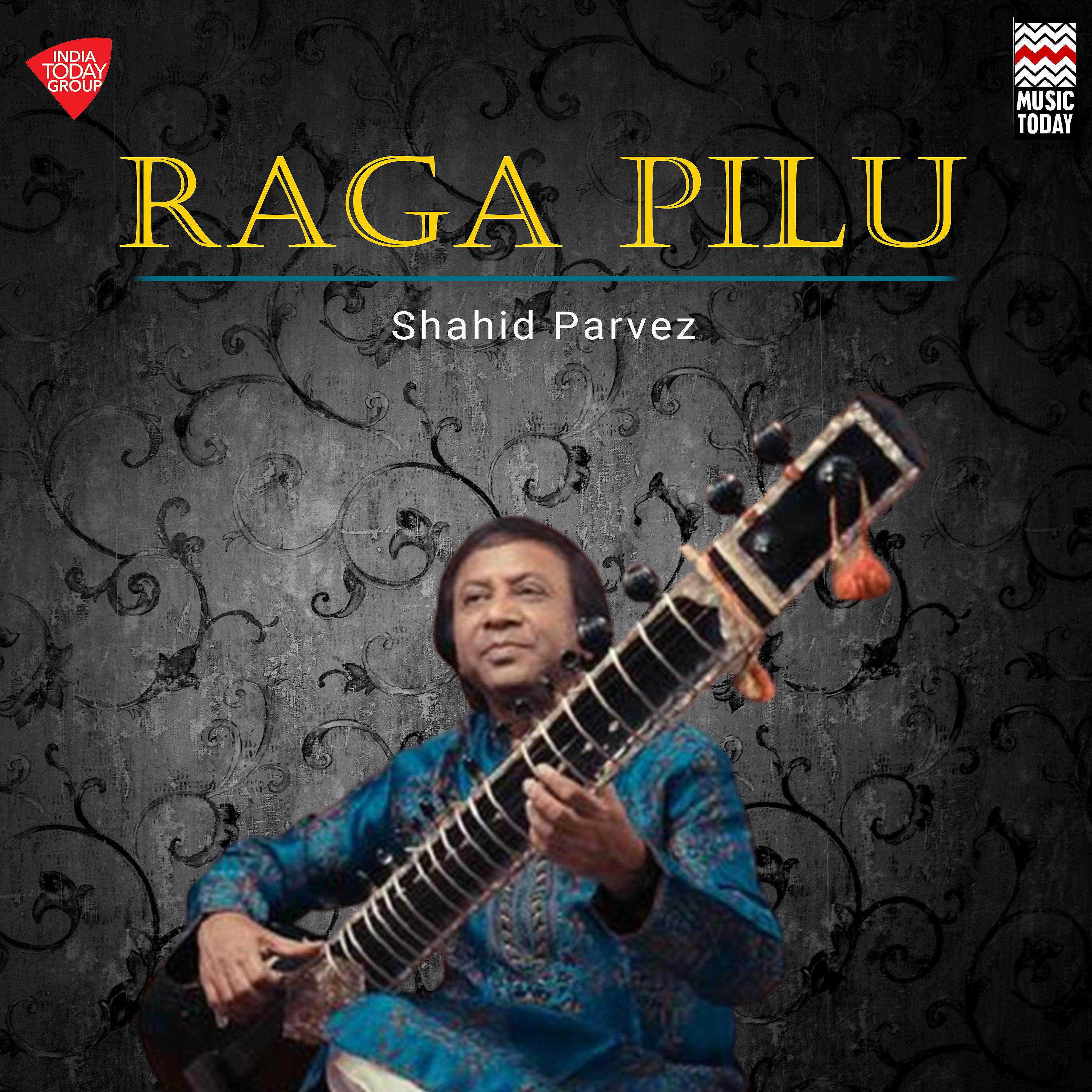 Постер альбома Raga Pilu (Shahid Parvez)