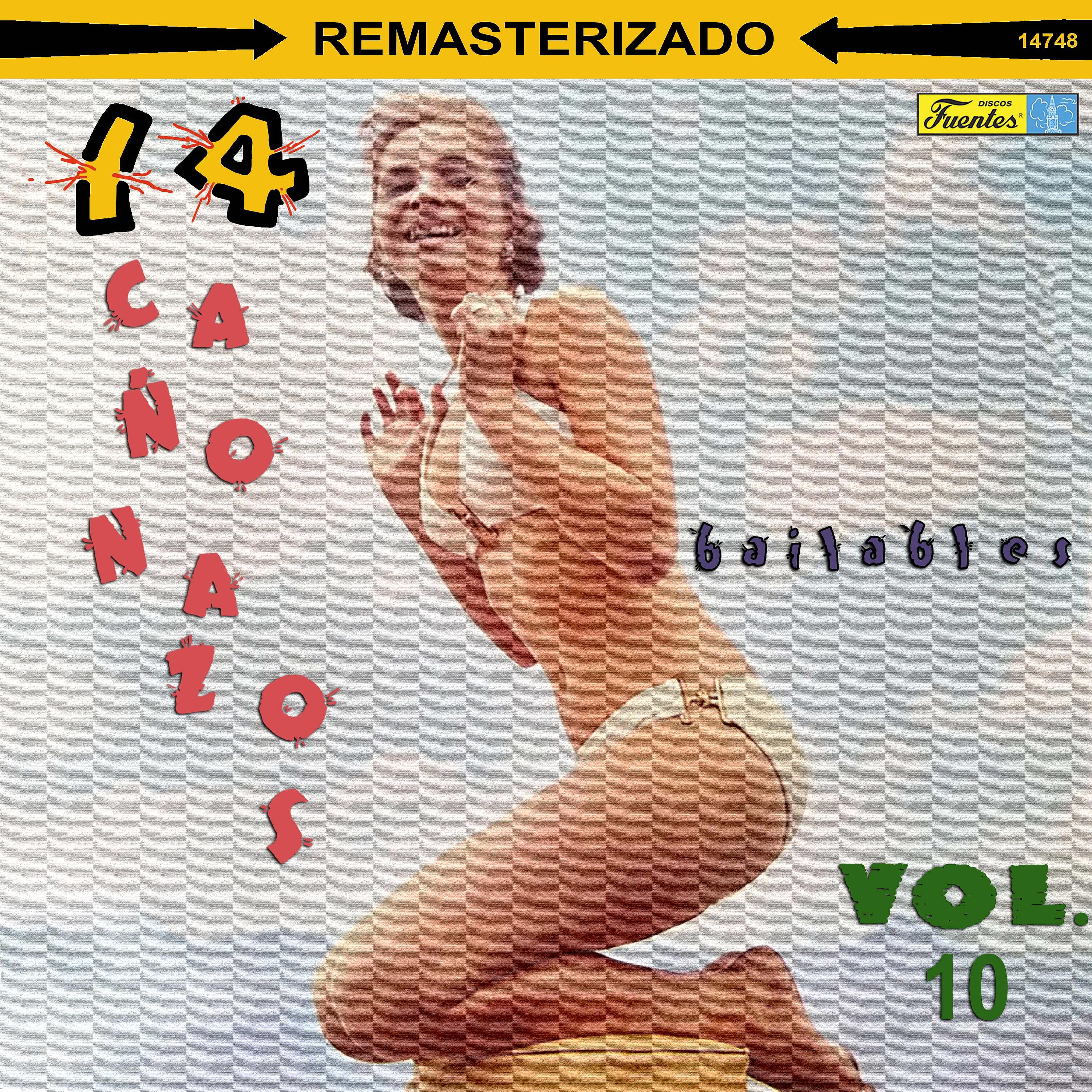 Постер альбома 14 Cañonazos Bailables, Vol. 10
