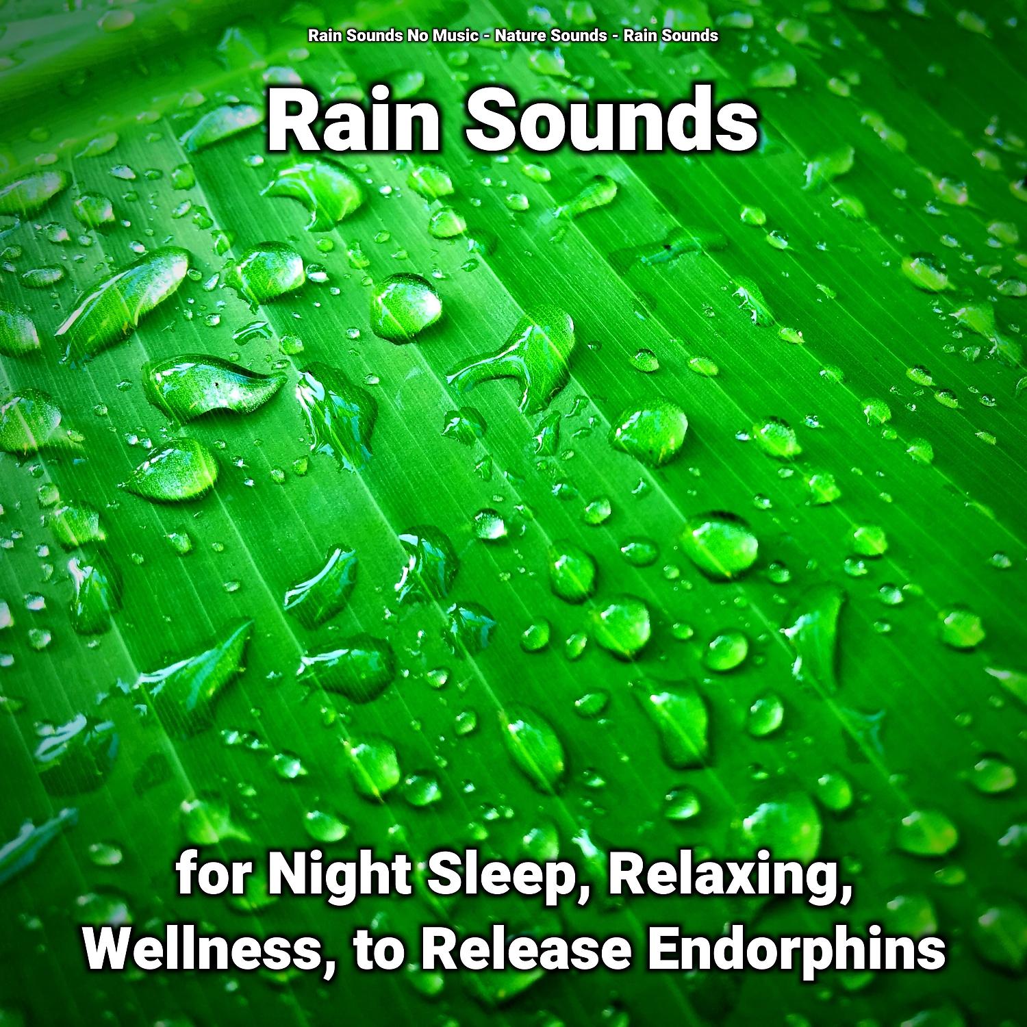 Постер альбома Rain Sounds for Night Sleep, Relaxing, Wellness, to Release Endorphins