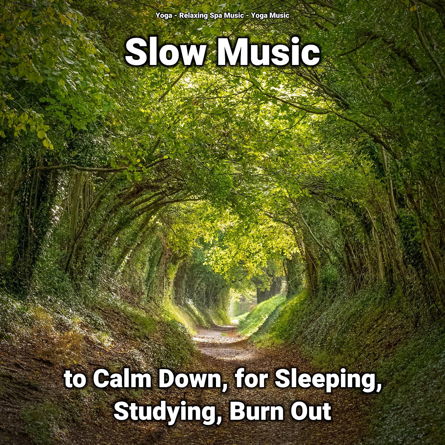 Постер альбома Slow Music to Calm Down, for Sleeping, Studying, Burn Out