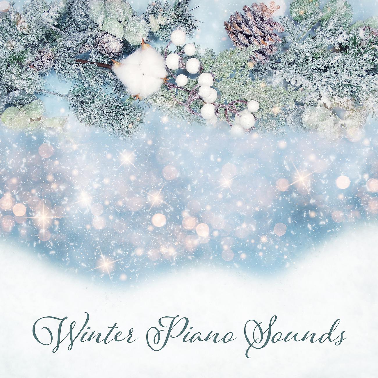 Постер альбома Winter Piano Sounds