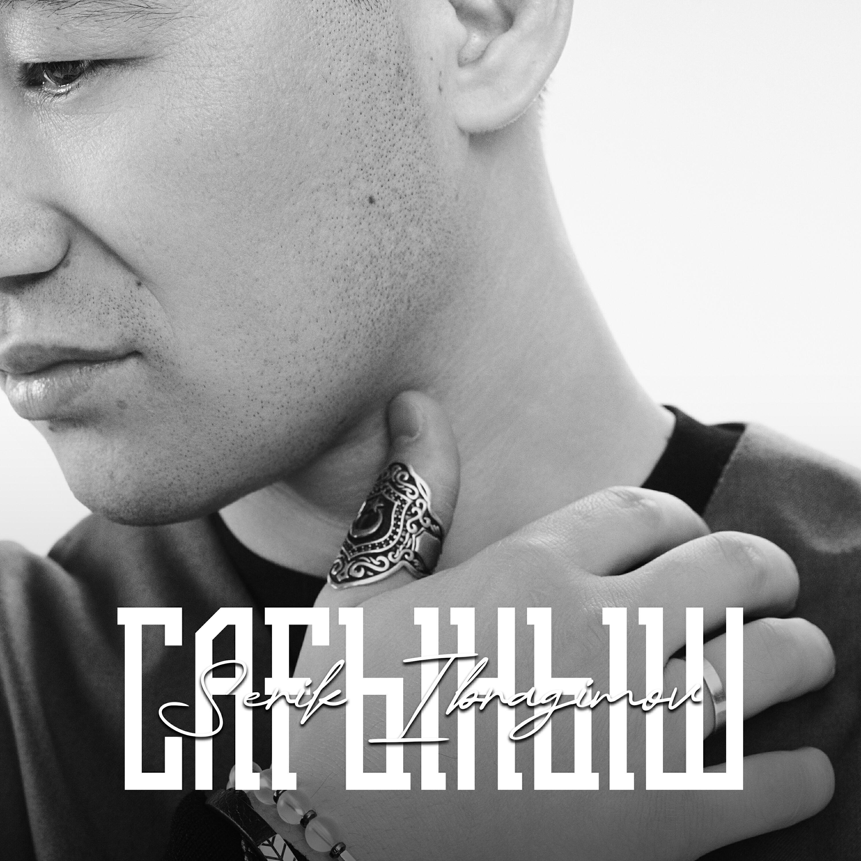 Serik Ibragimov все песни в mp3