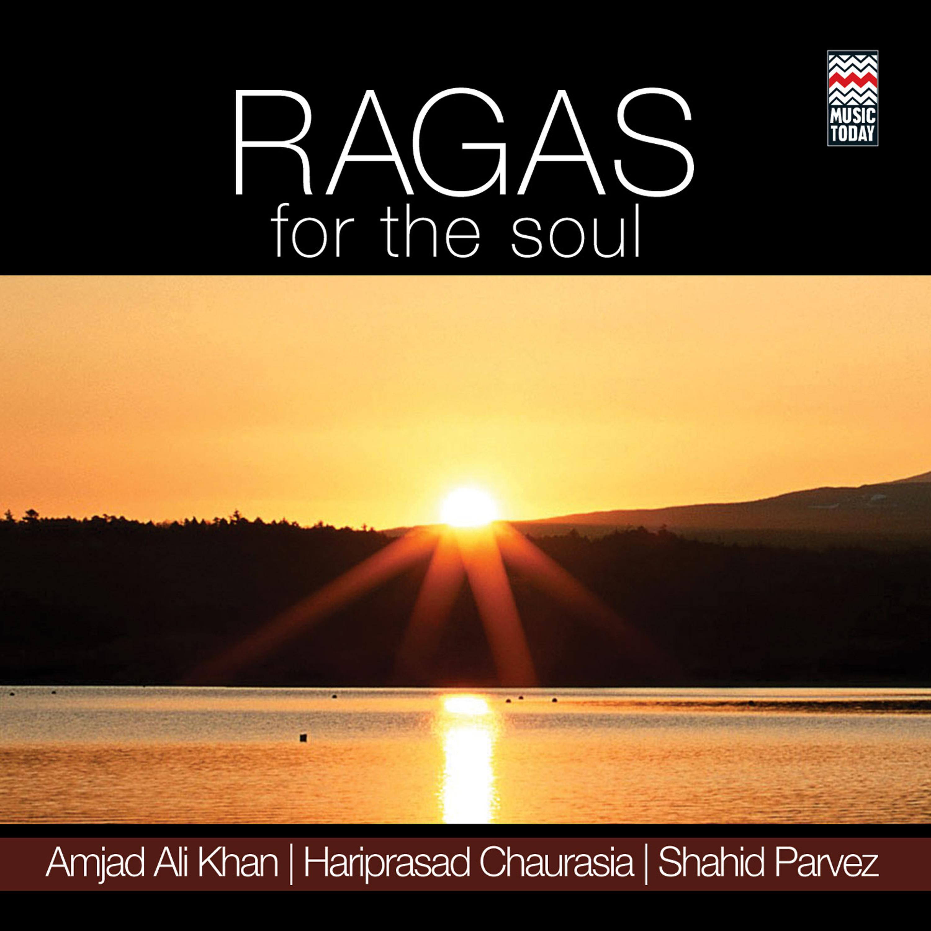 Постер альбома Ragas For The Soul