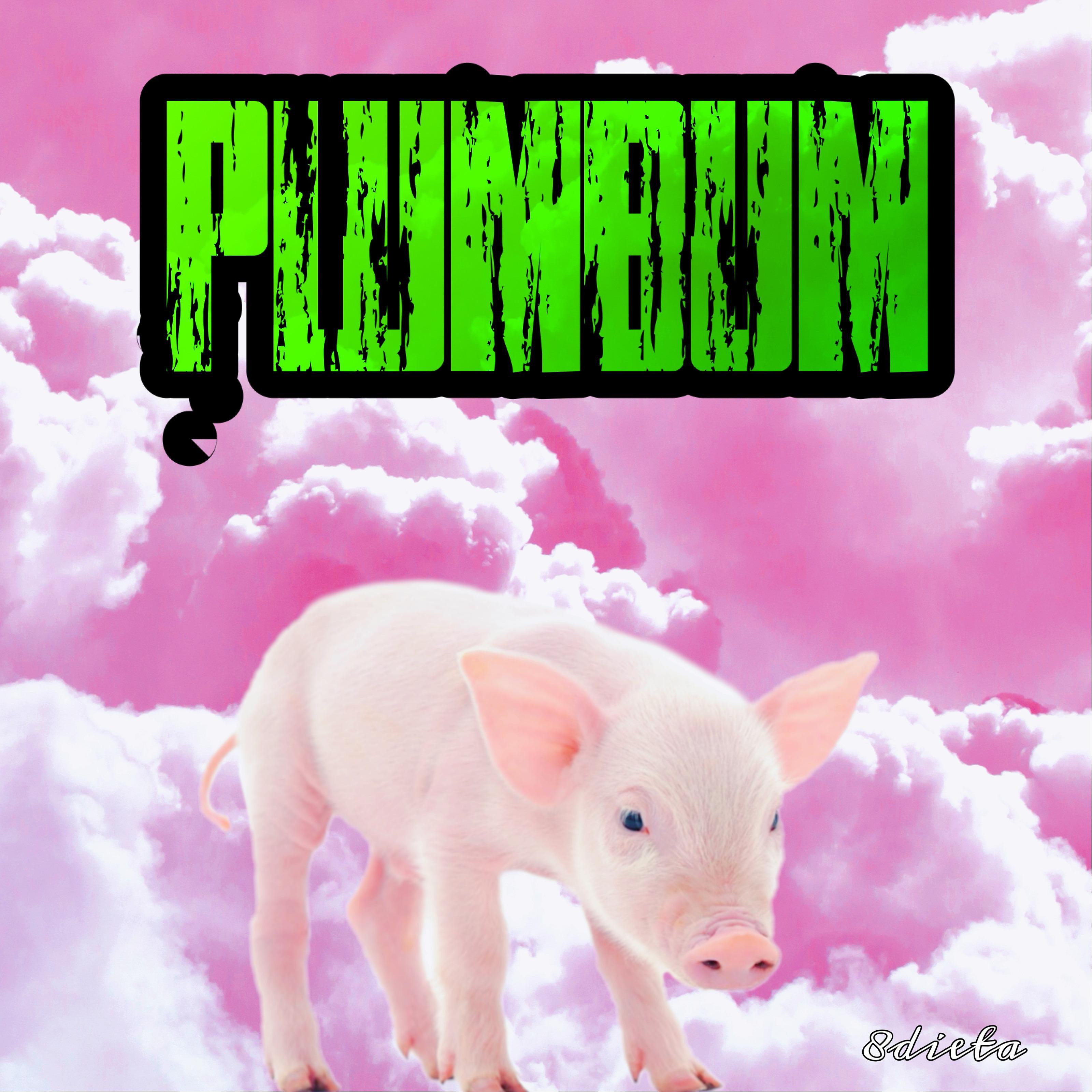 Постер альбома Plumbum