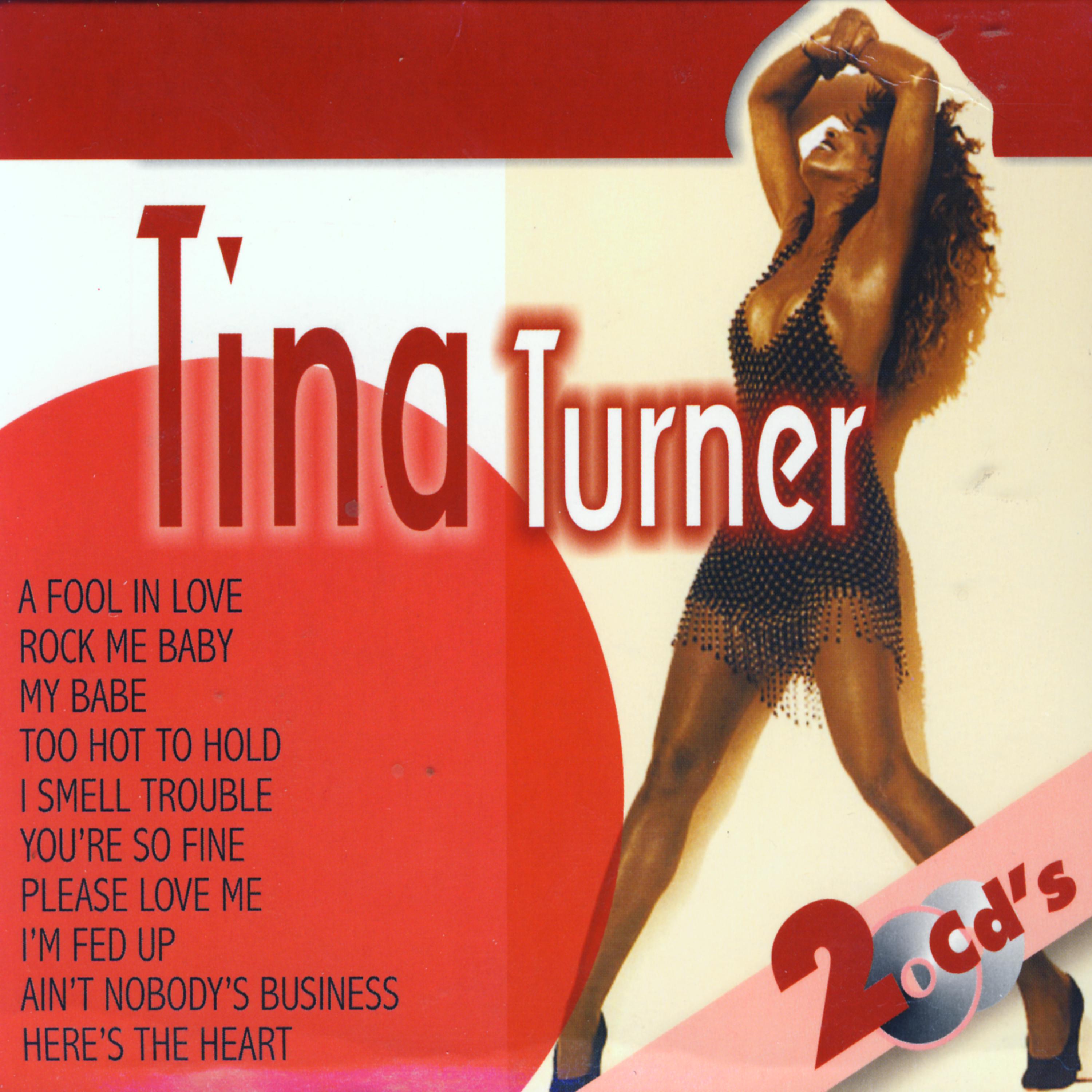 Постер альбома Lo Mejor De Tina Turner (The Best of Tina Turner)