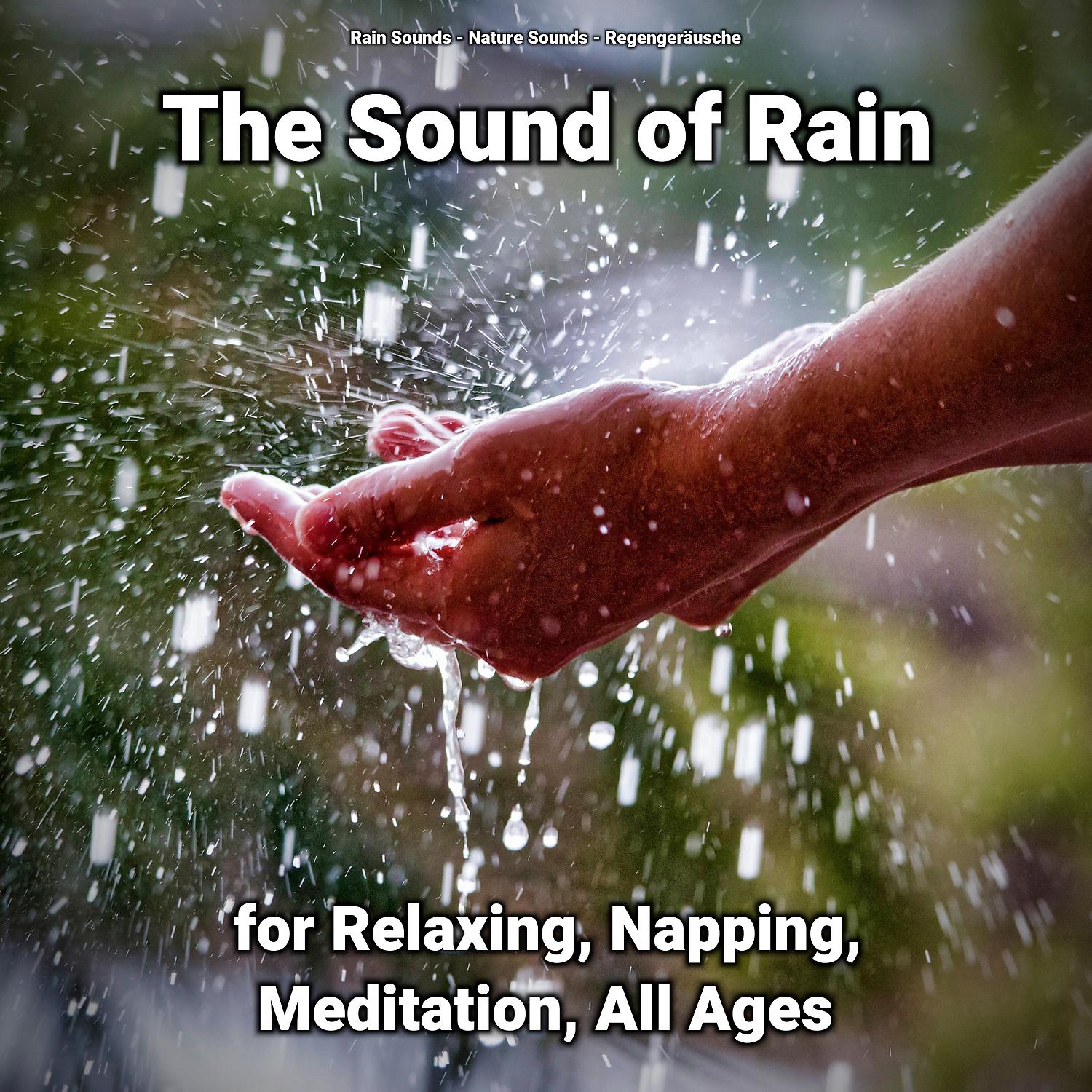 Постер альбома The Sound of Rain for Relaxing, Napping, Meditation, All Ages