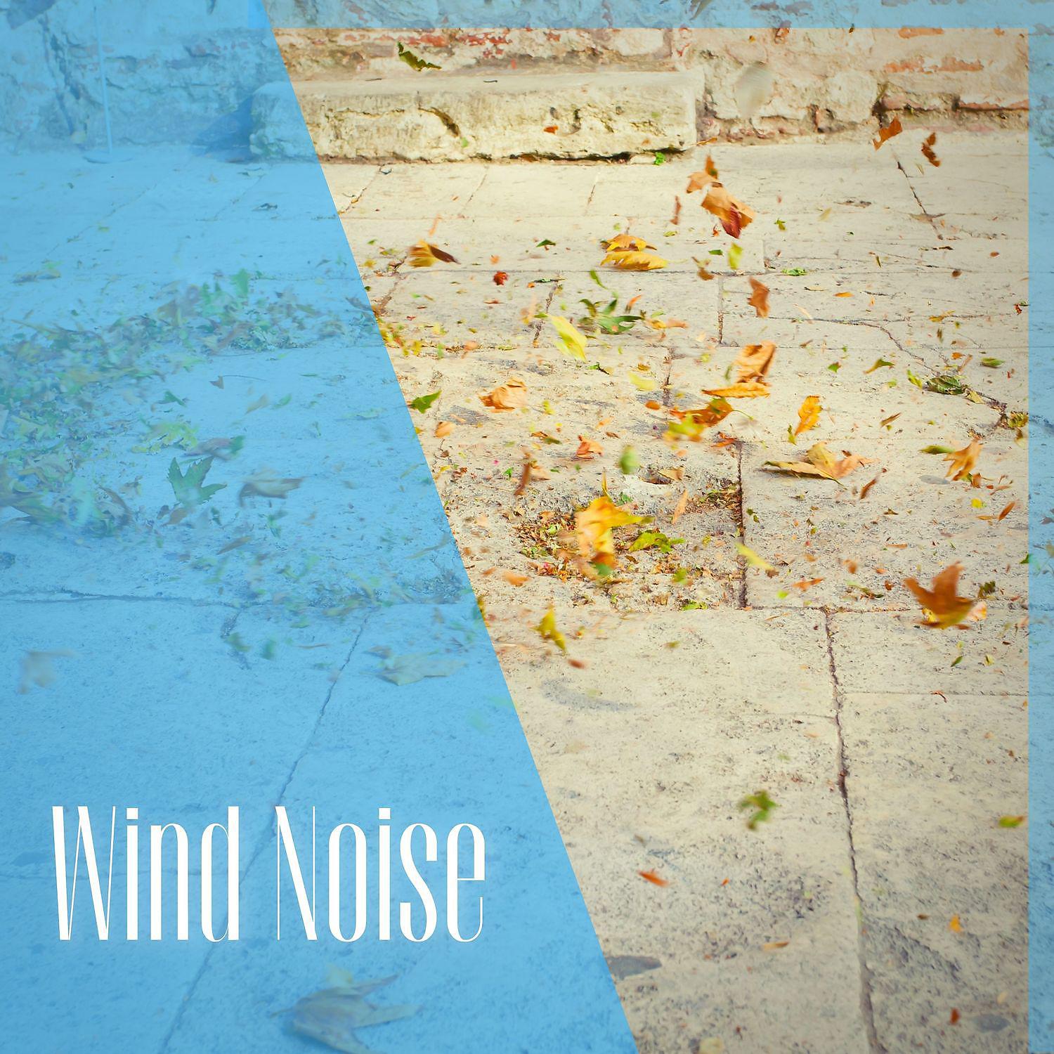 Постер альбома Wind Noise, Healing White Noise
