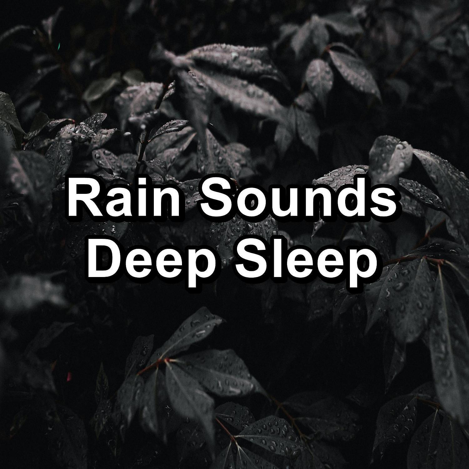Постер альбома Rain Sounds Deep Sleep