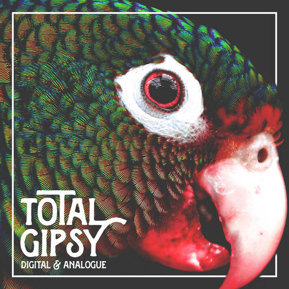 Total Gipsy - Un signal