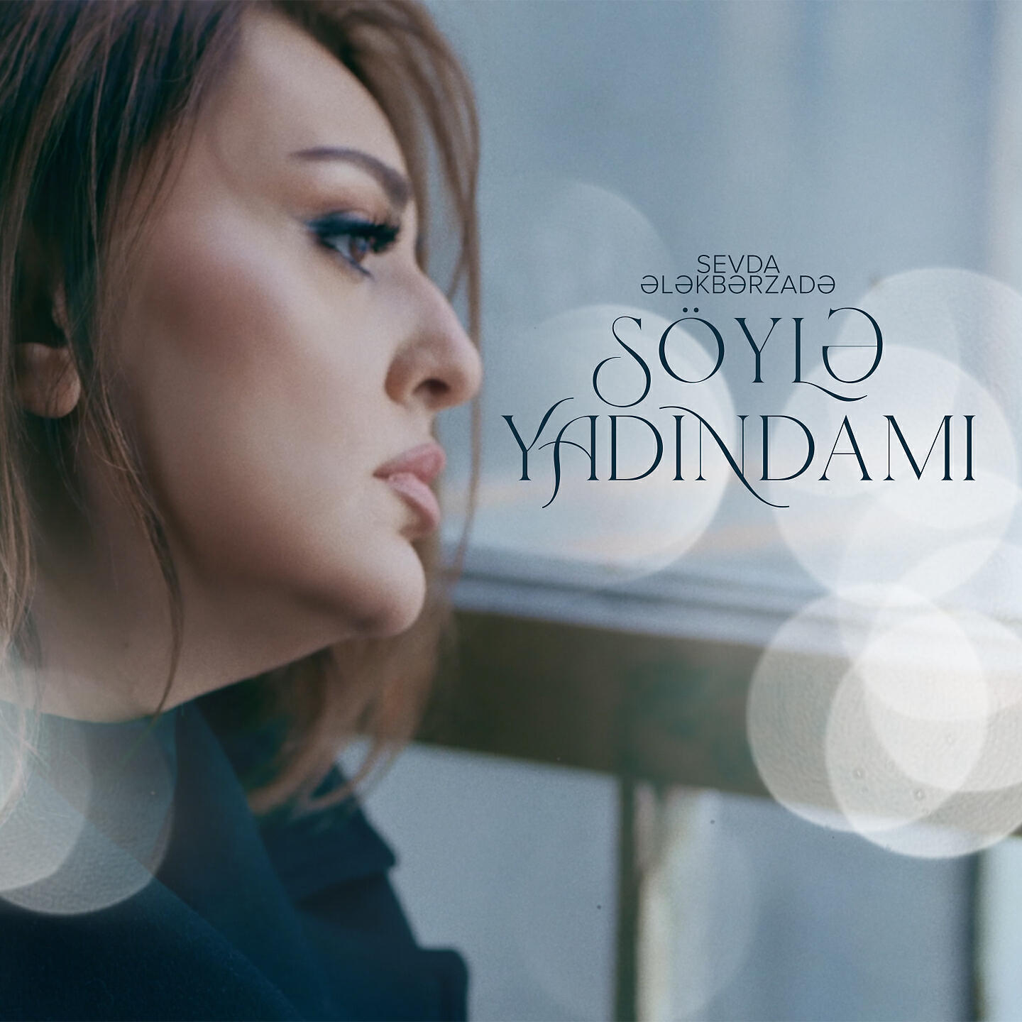 Sevda Ələkbərzadə - Söylə Yadındamı