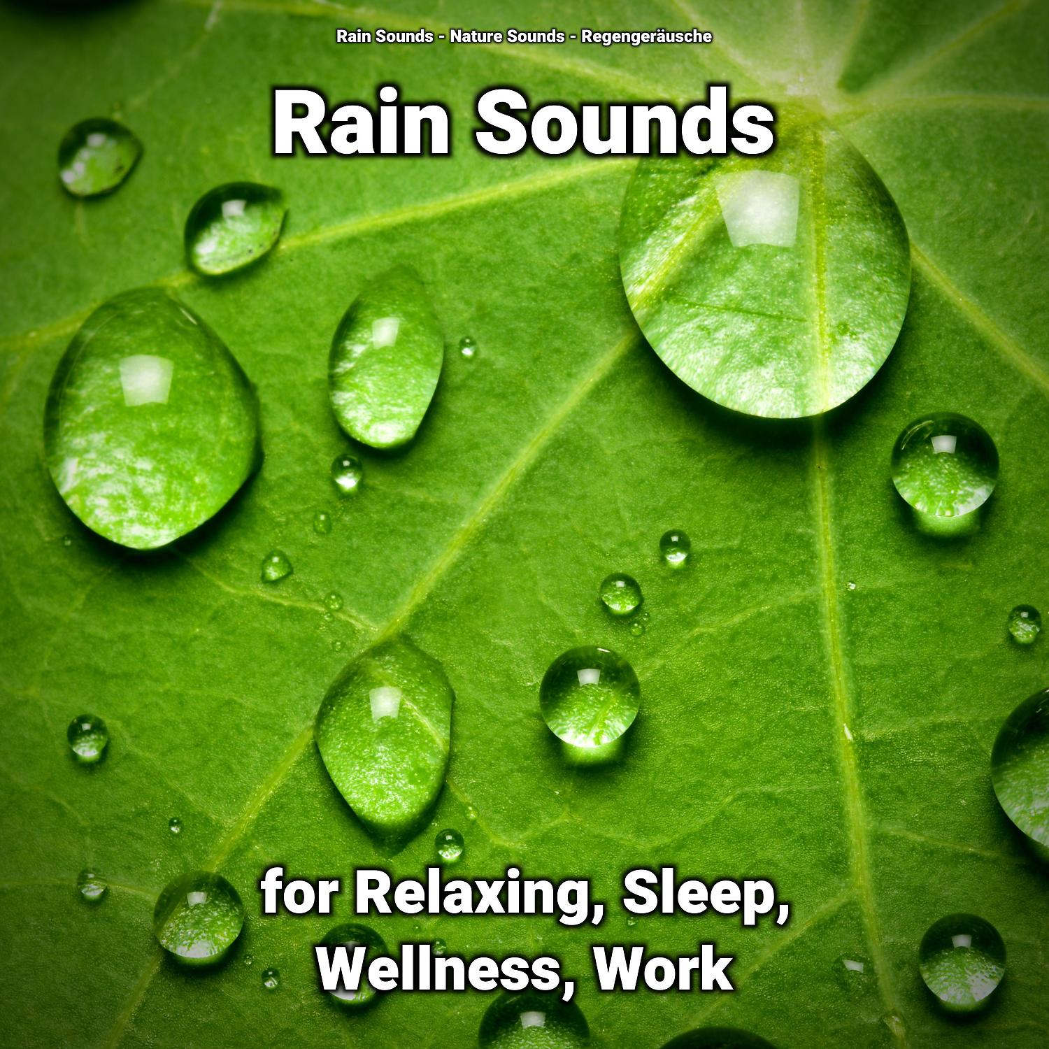 Постер альбома Rain Sounds for Relaxing, Sleep, Wellness, Work