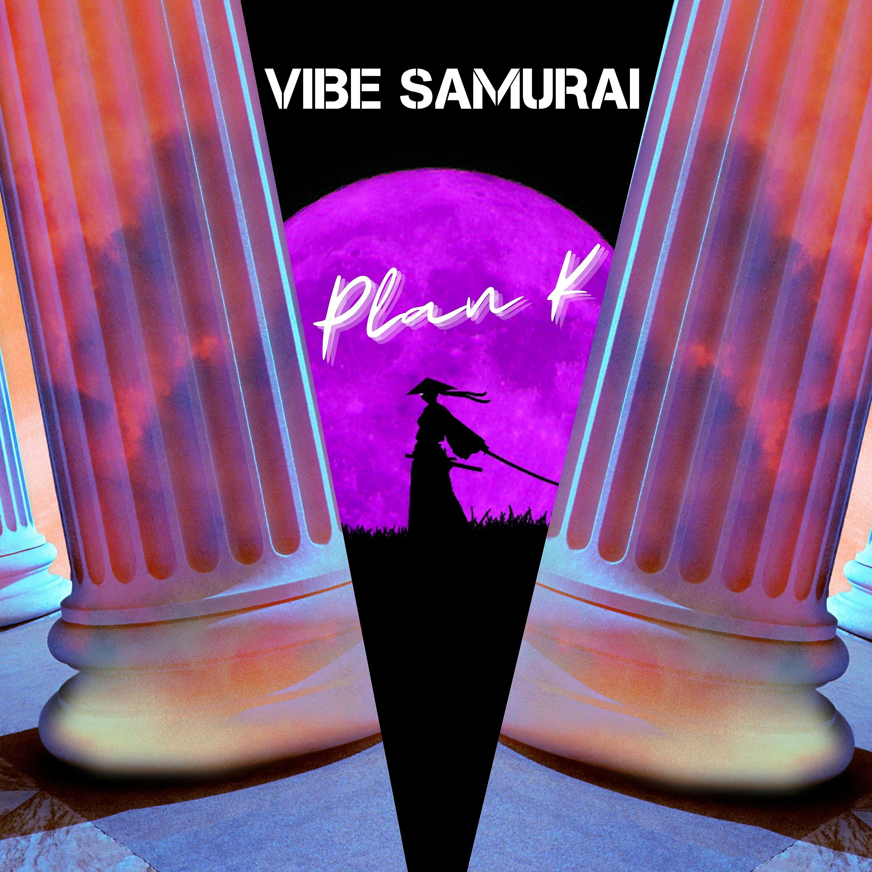 Постер альбома Vibe Samurai