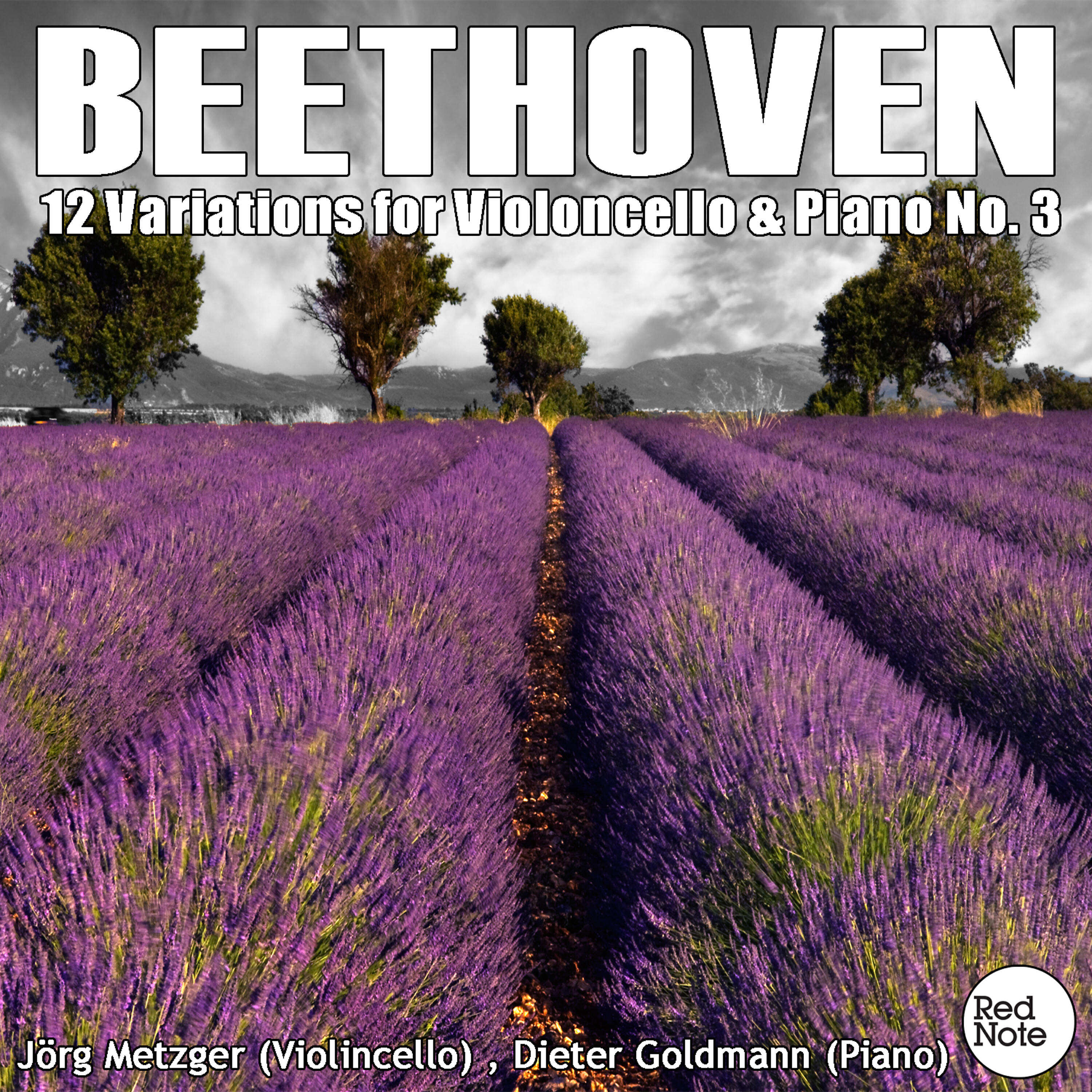 Jörg Metzger - 12 Variations on the Theme 