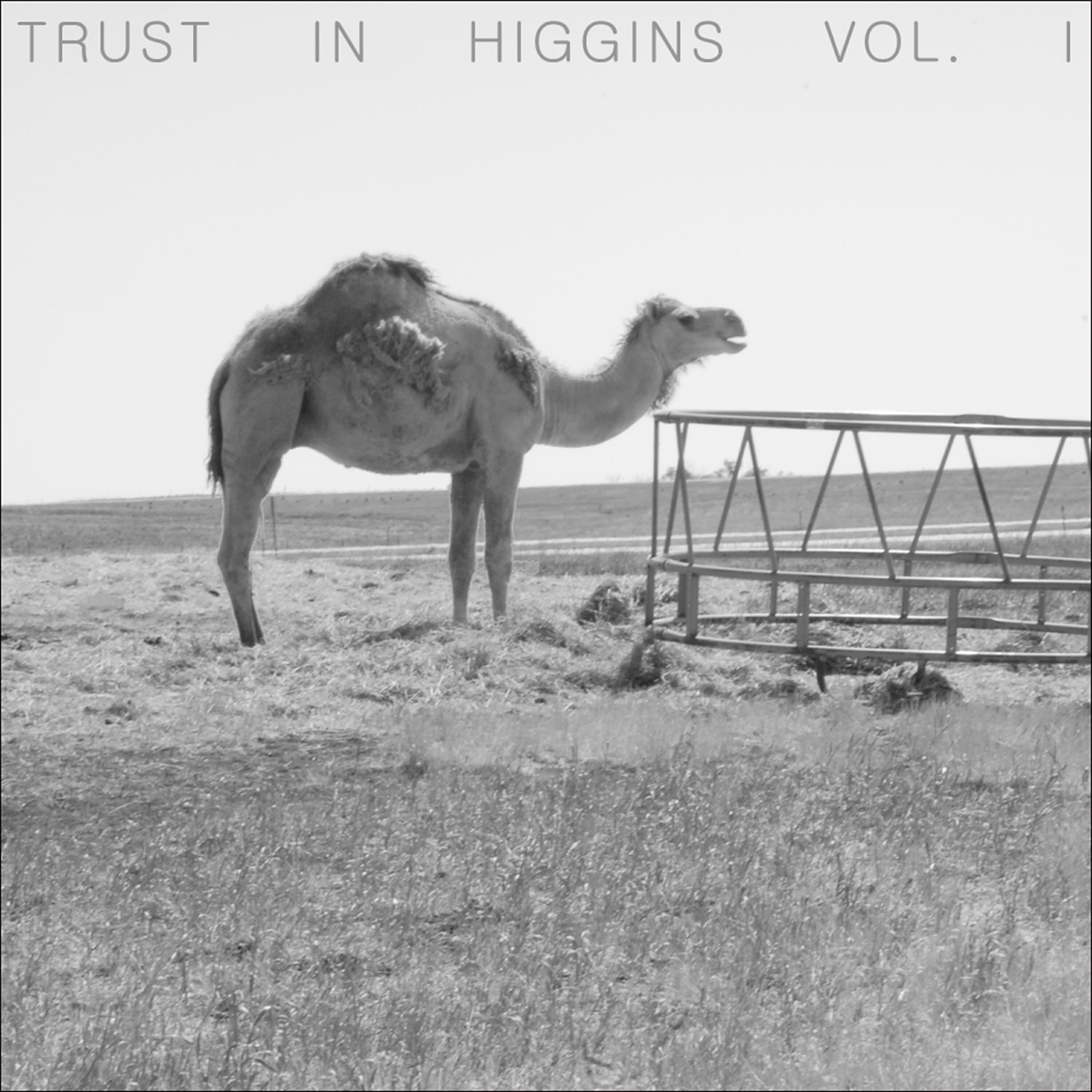 Higgins - Jamy