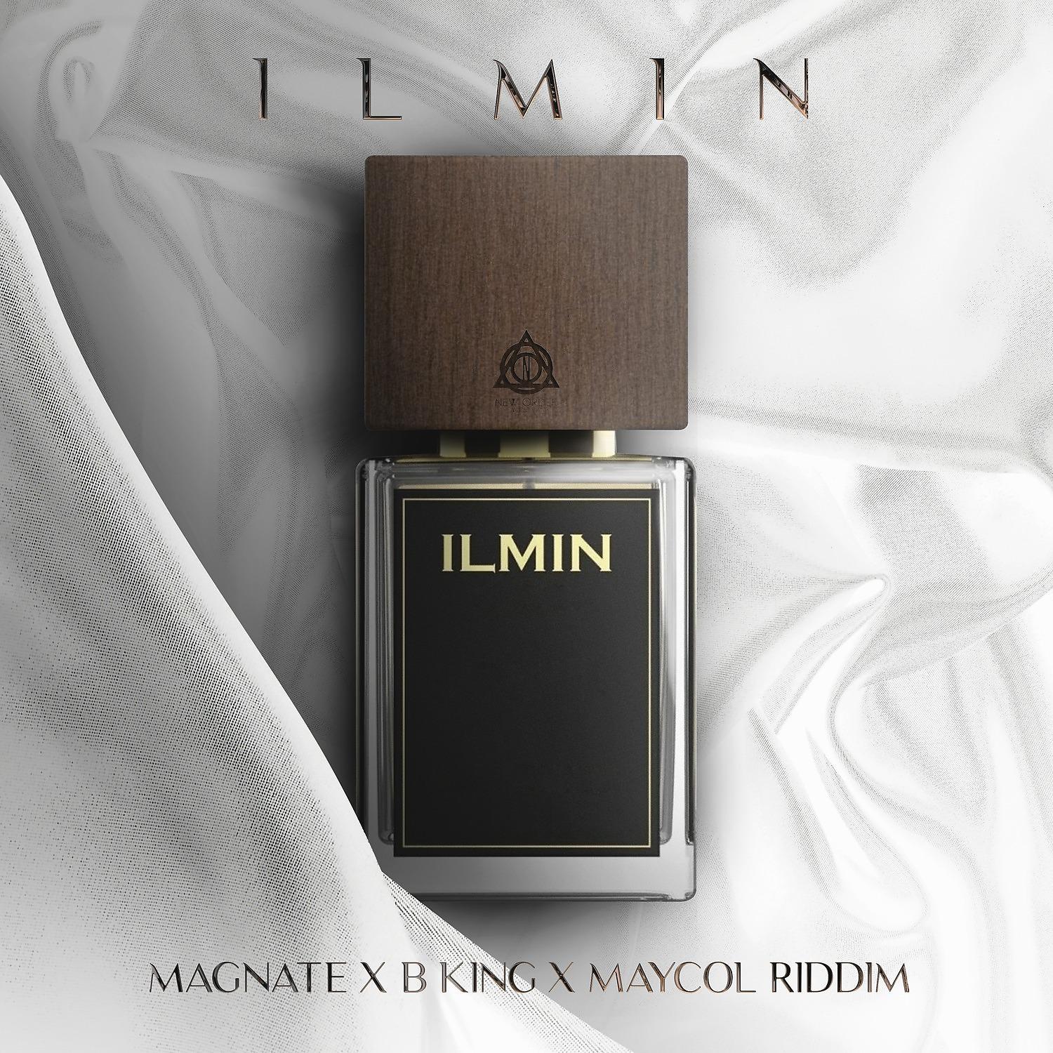 Постер альбома Ilmin