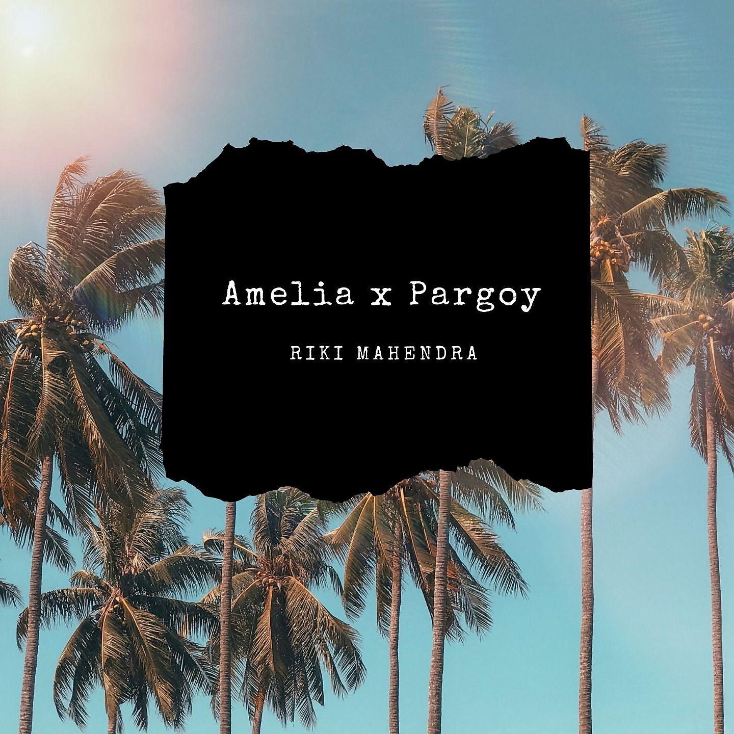 Постер альбома Amelia x Pargoy