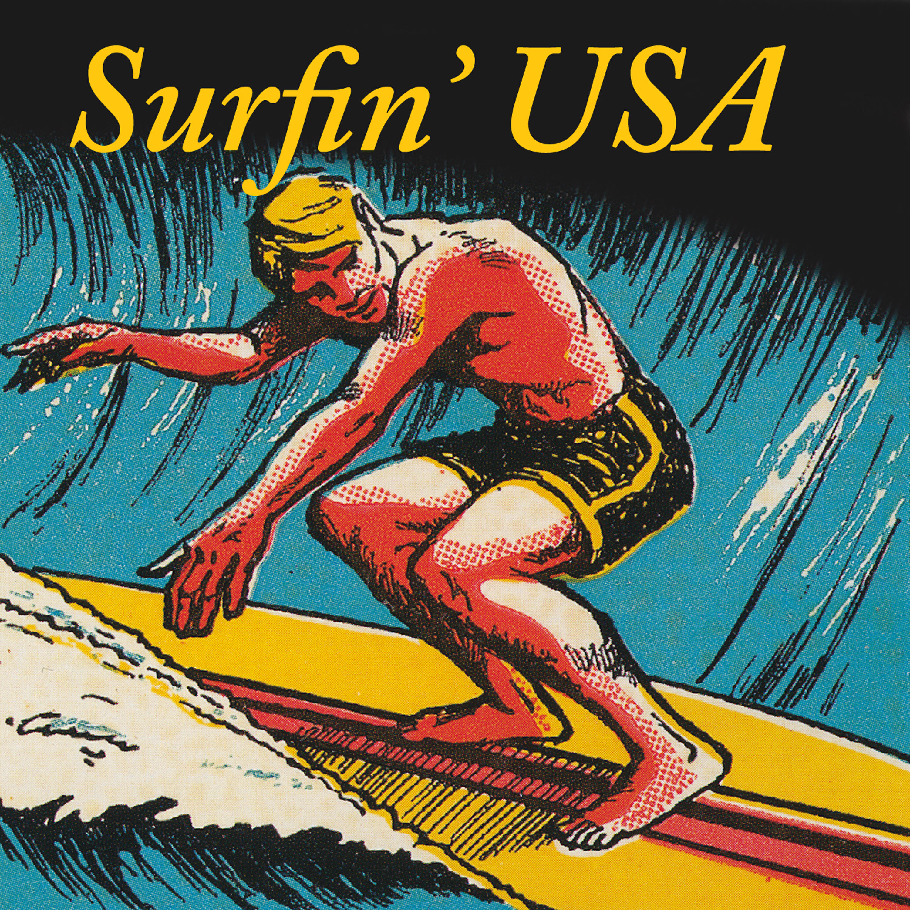 60s Surfin' All Stars - Let Him Run Wild (as made famous by The Beach Boys)