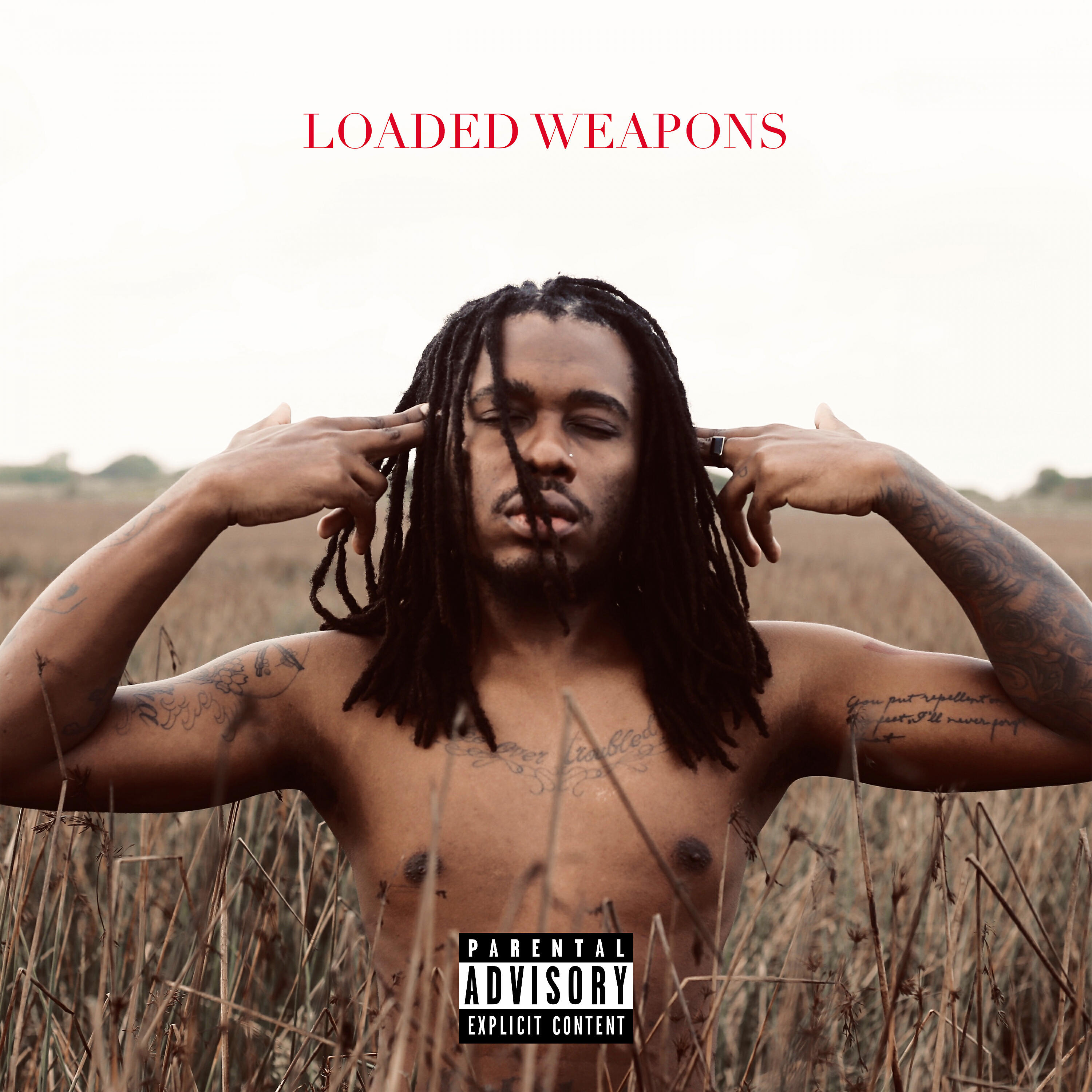 Постер альбома Loaded Weapons