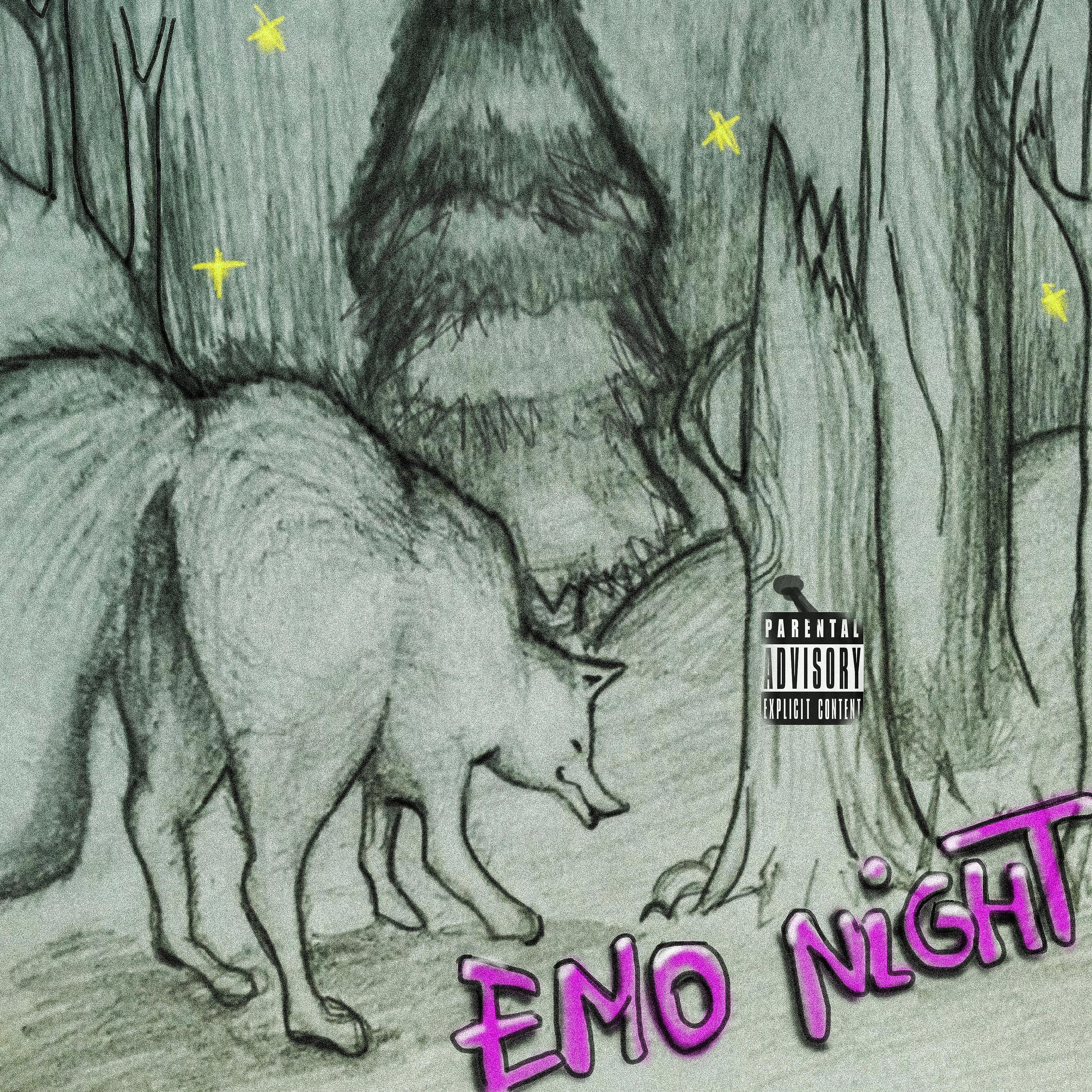 Постер альбома Emo Night