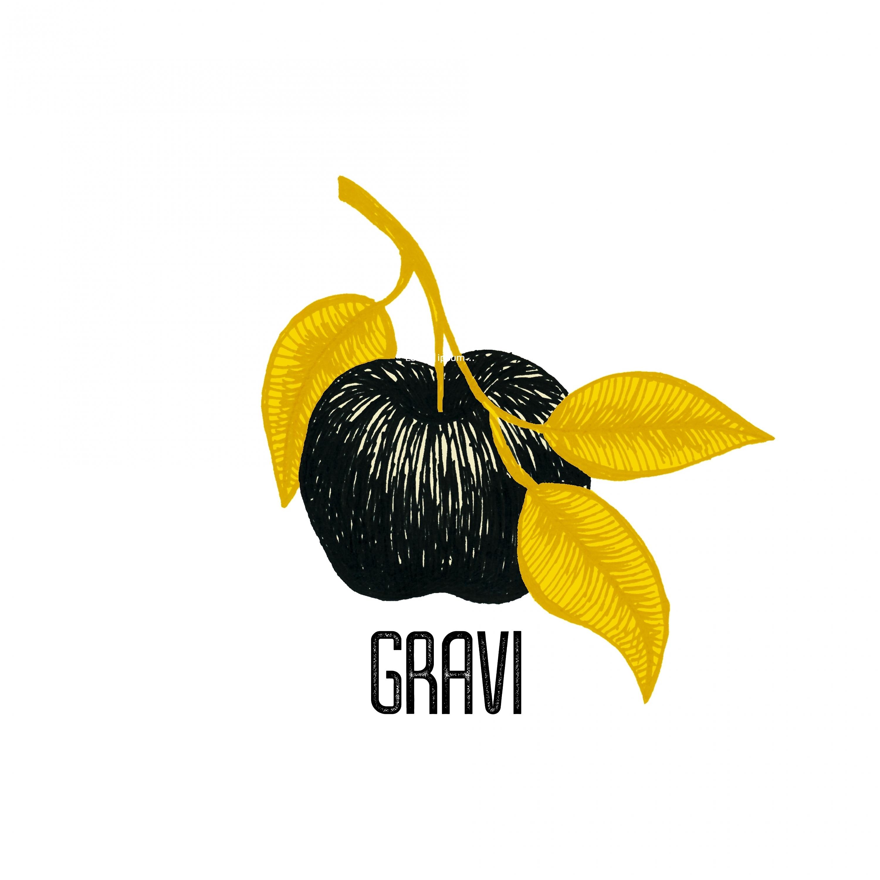 Постер альбома Gravi