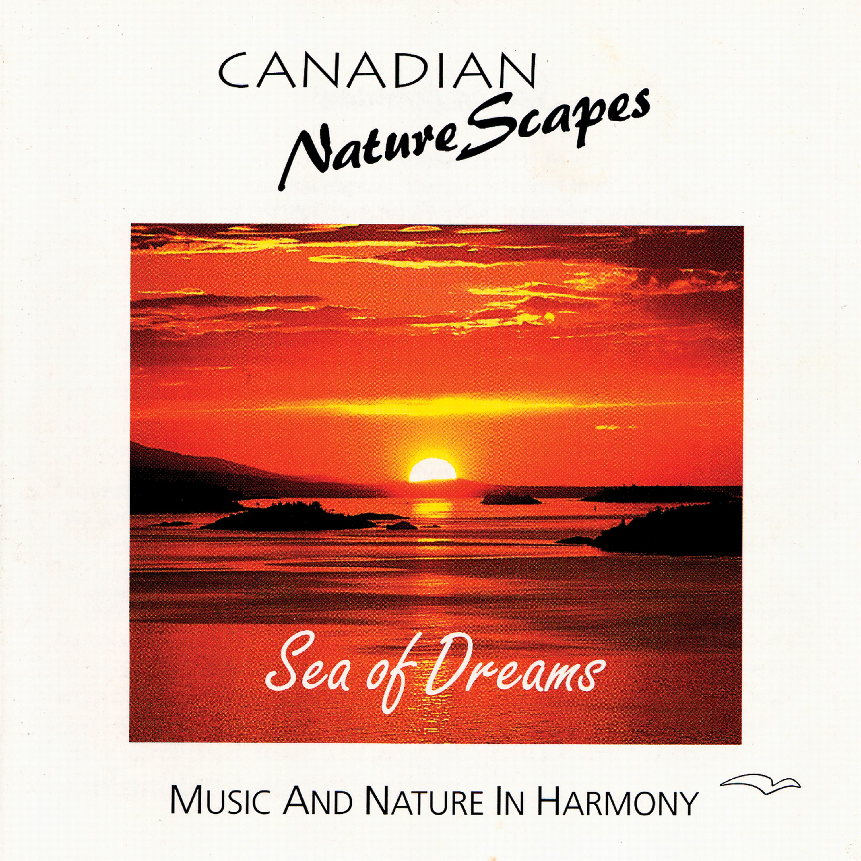 Постер альбома Sea Of Dreams