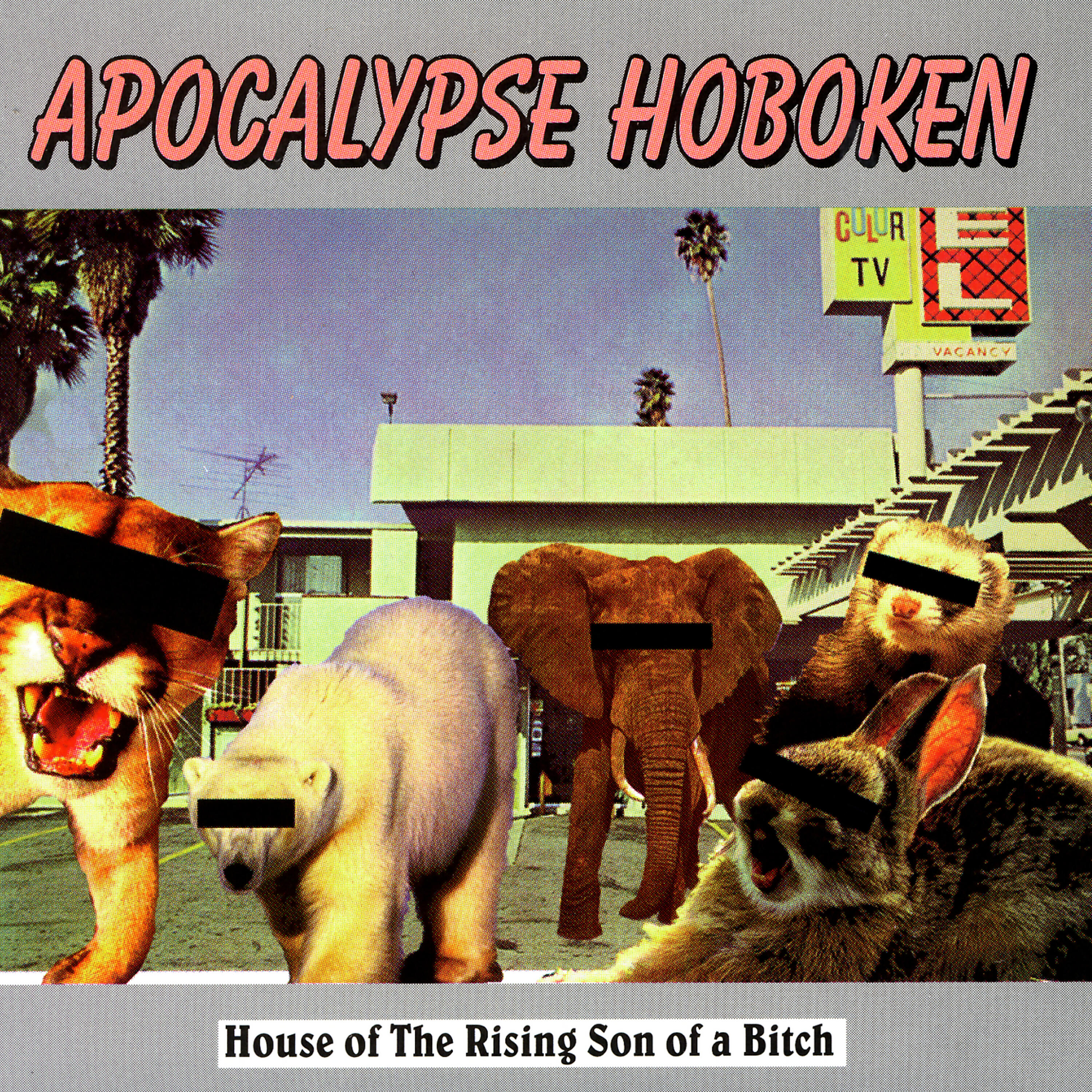 Apocalypse Hoboken - Anorexic Complexion