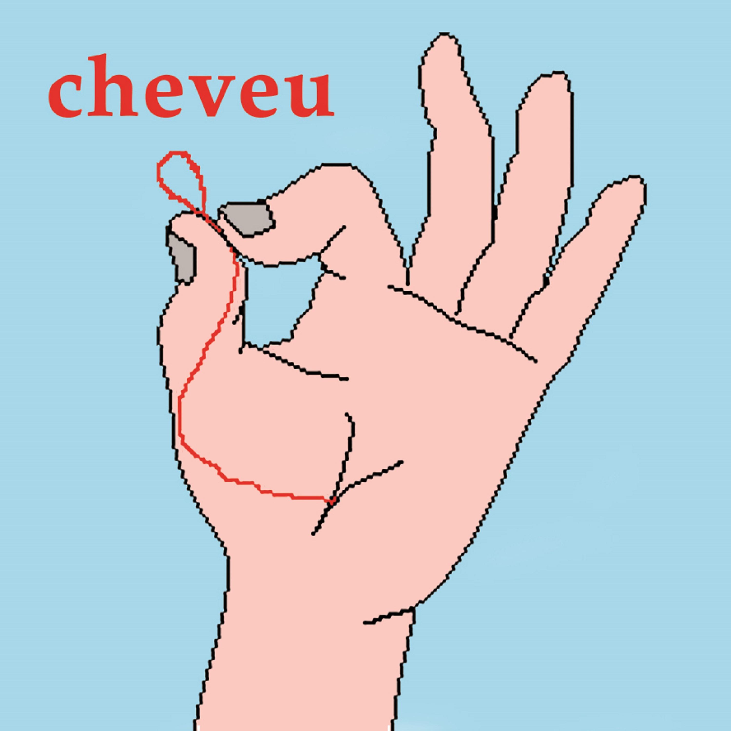 Постер альбома Cheveu