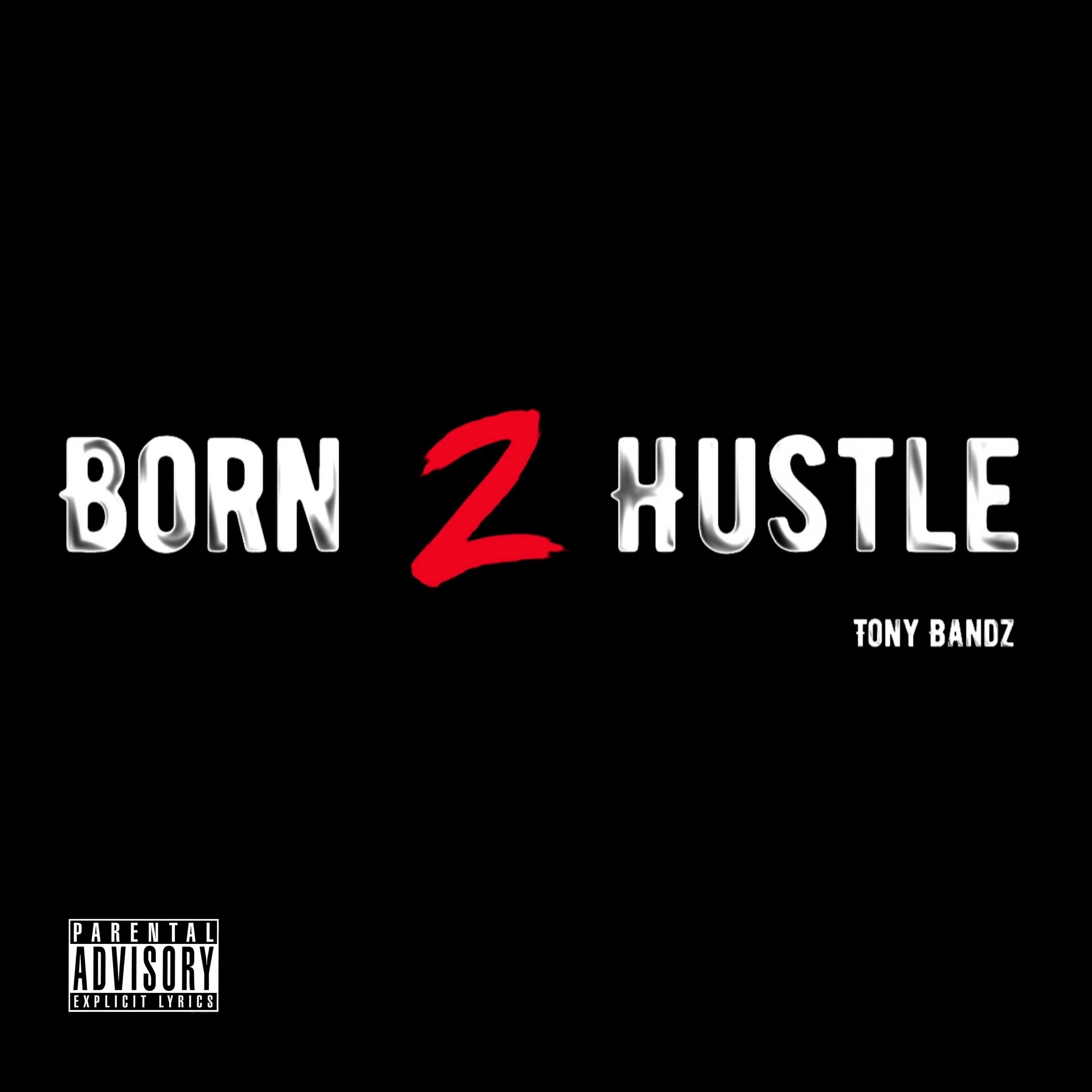 Постер альбома Born 2 Hustle