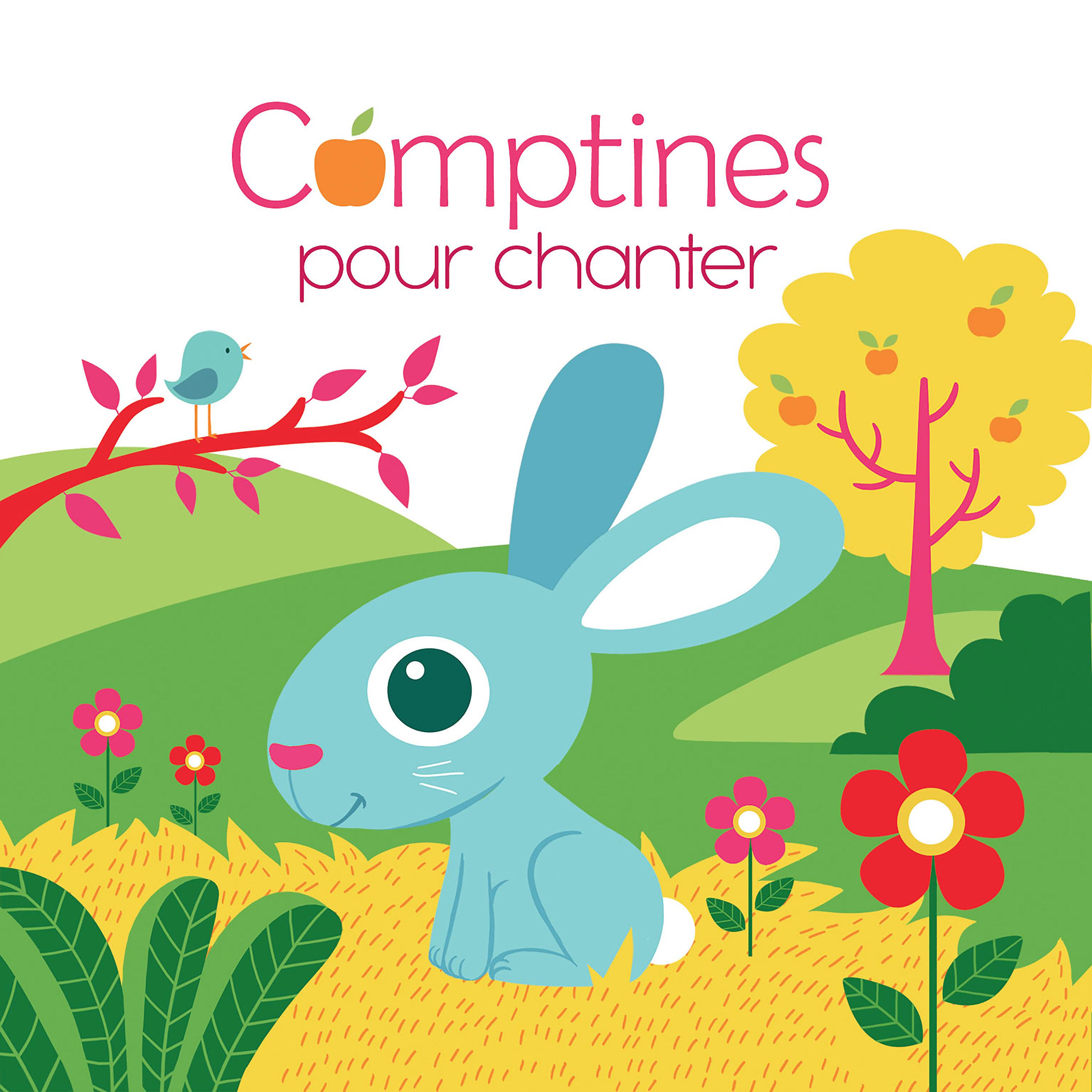 Постер альбома Comptines pour chanter