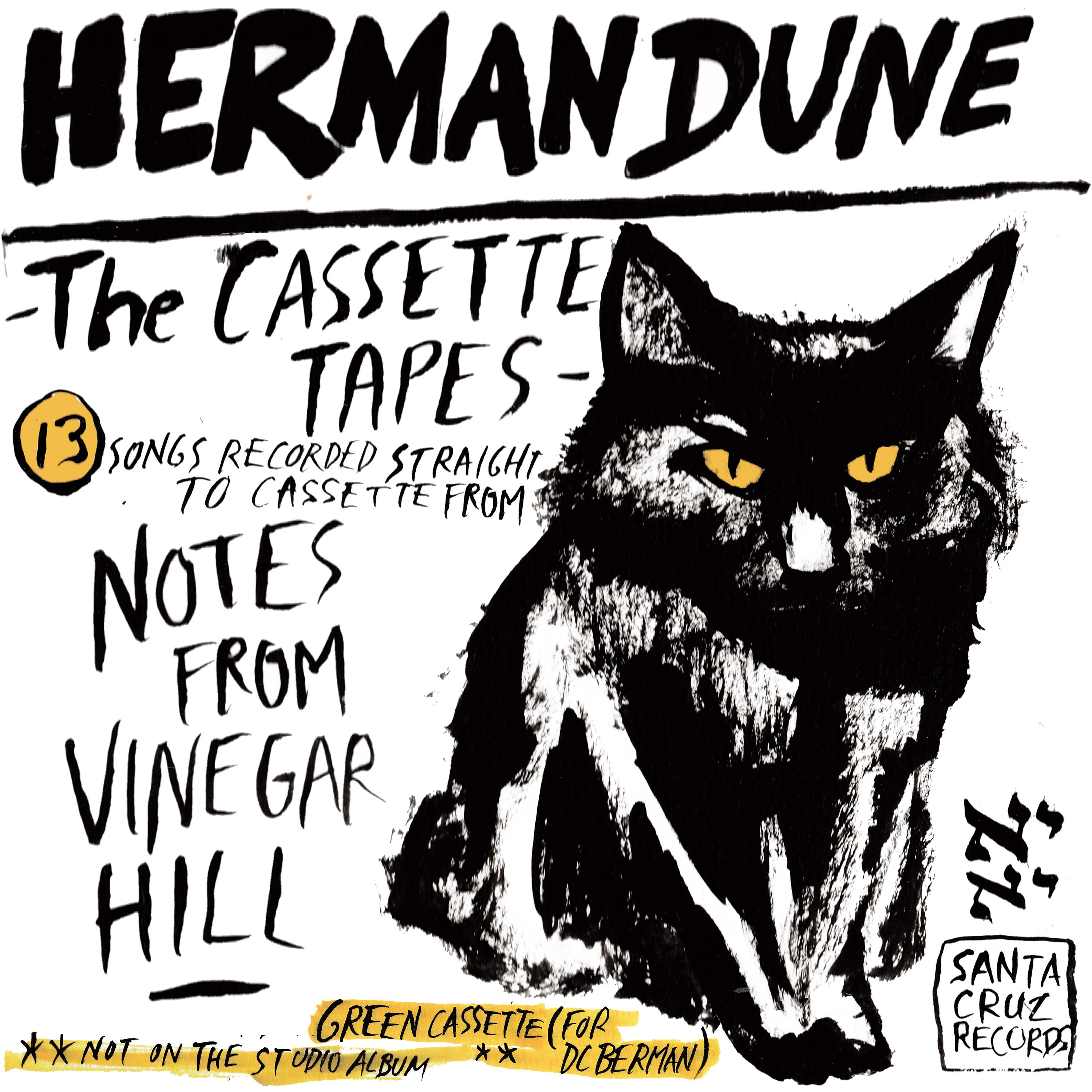 Постер альбома The Cassette Tapes from Vinegar Hill